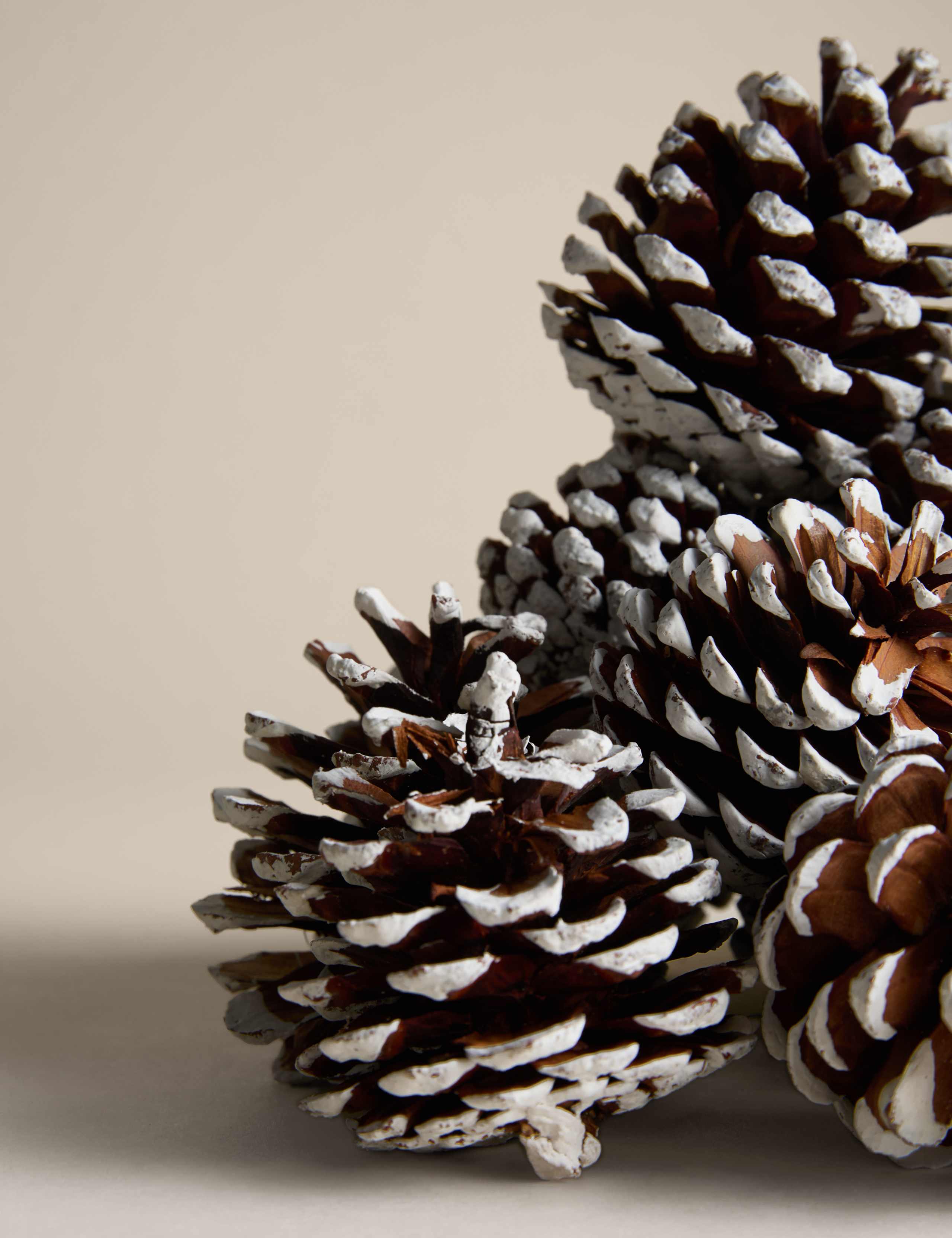 Christmas Joy Pine Cone Pot Pourri 4 of 5