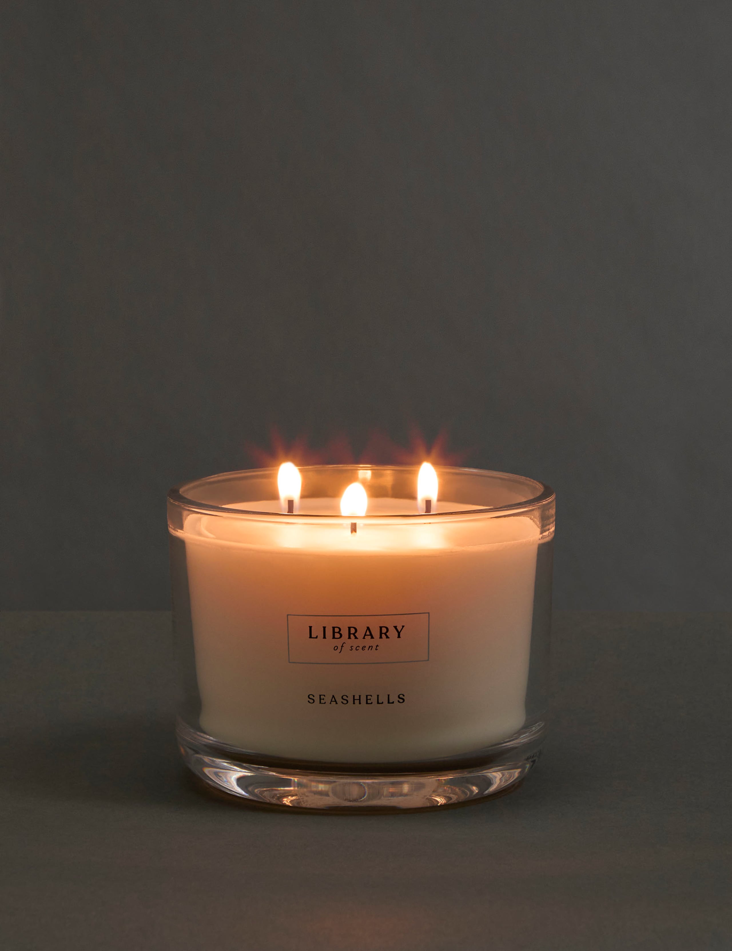 Seashells 3 Wick Candle 2 of 4