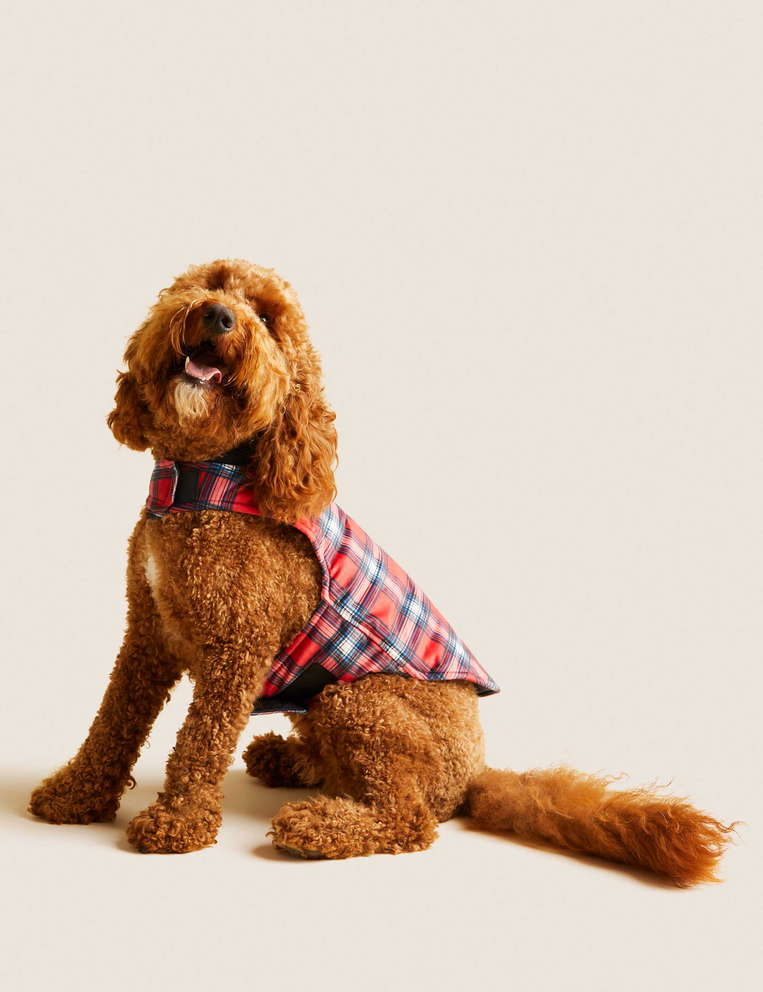 Personalised Checked Jumper for Pets 1 of 8