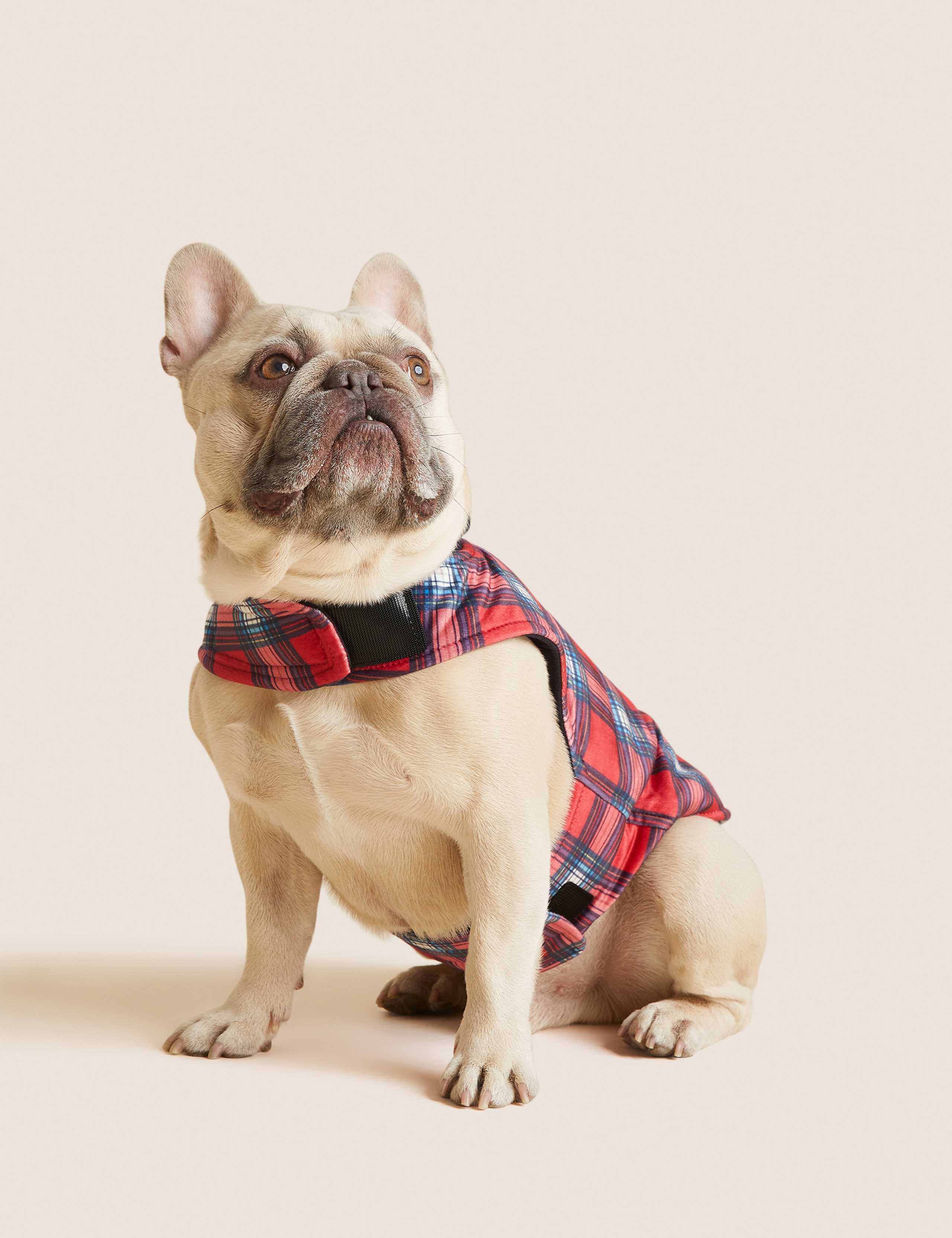 Personalised Checked Jumper for Pets 6 of 8