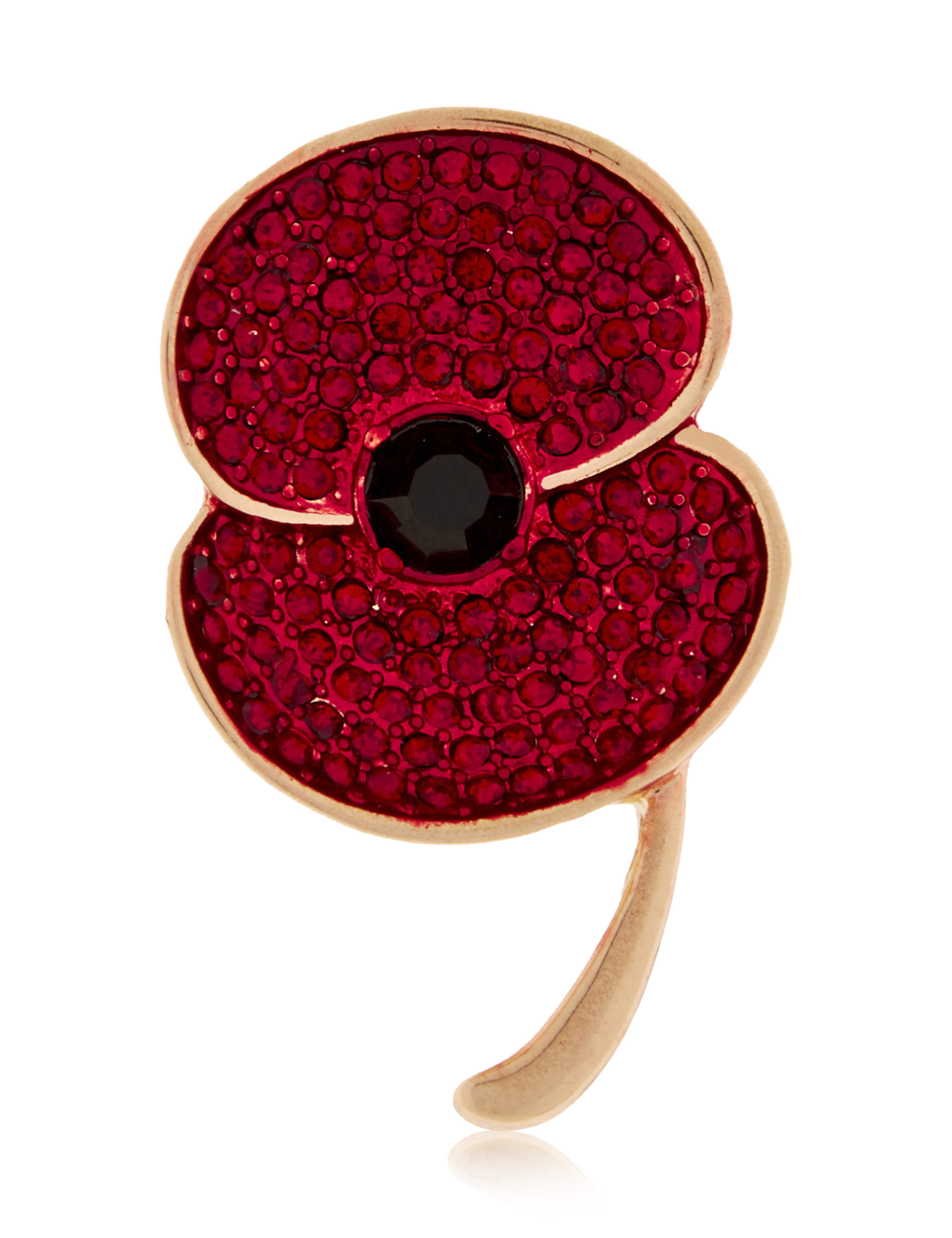 Small Poppy Brooch 1 of 2