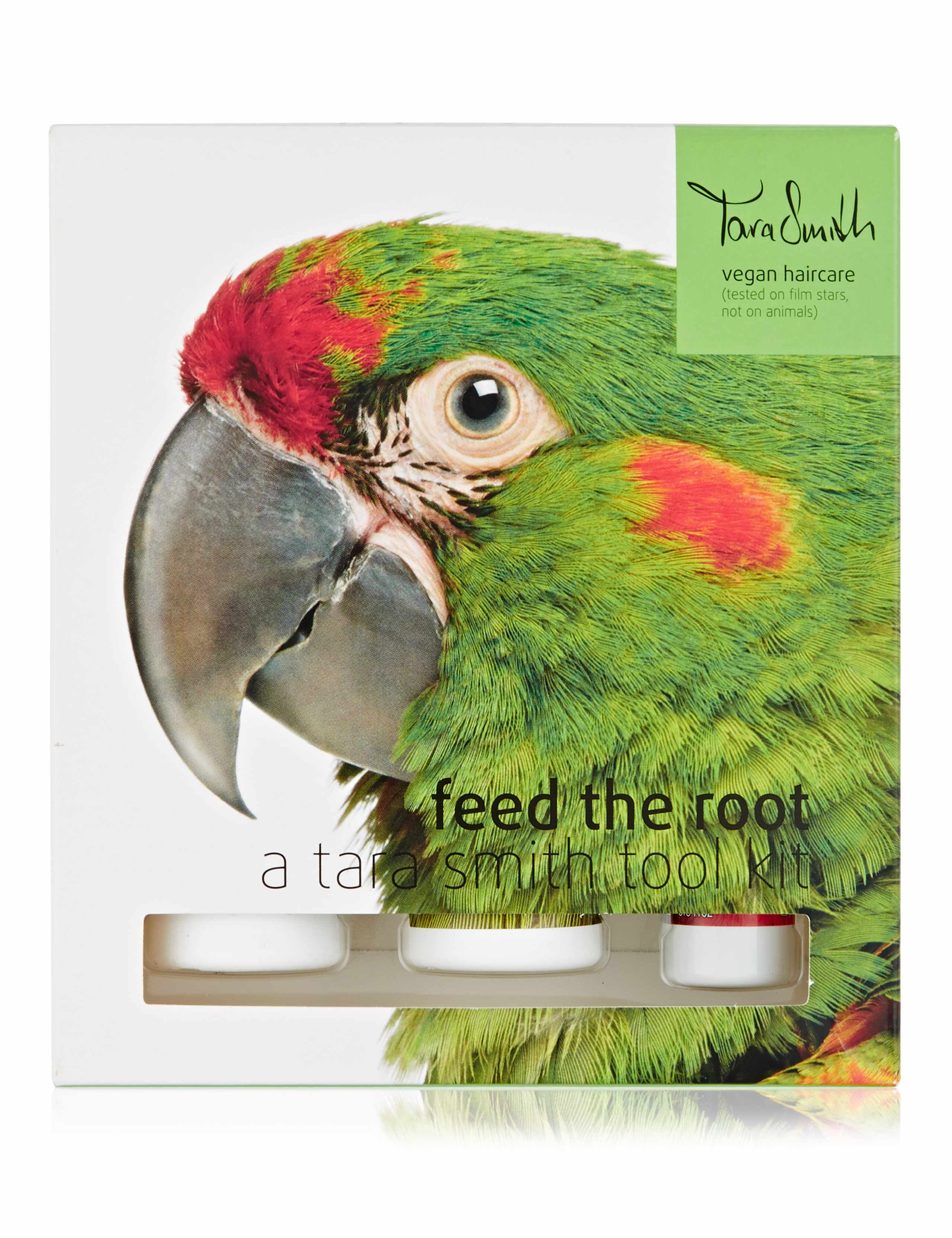 Shine On Tool Kit 1 of 2