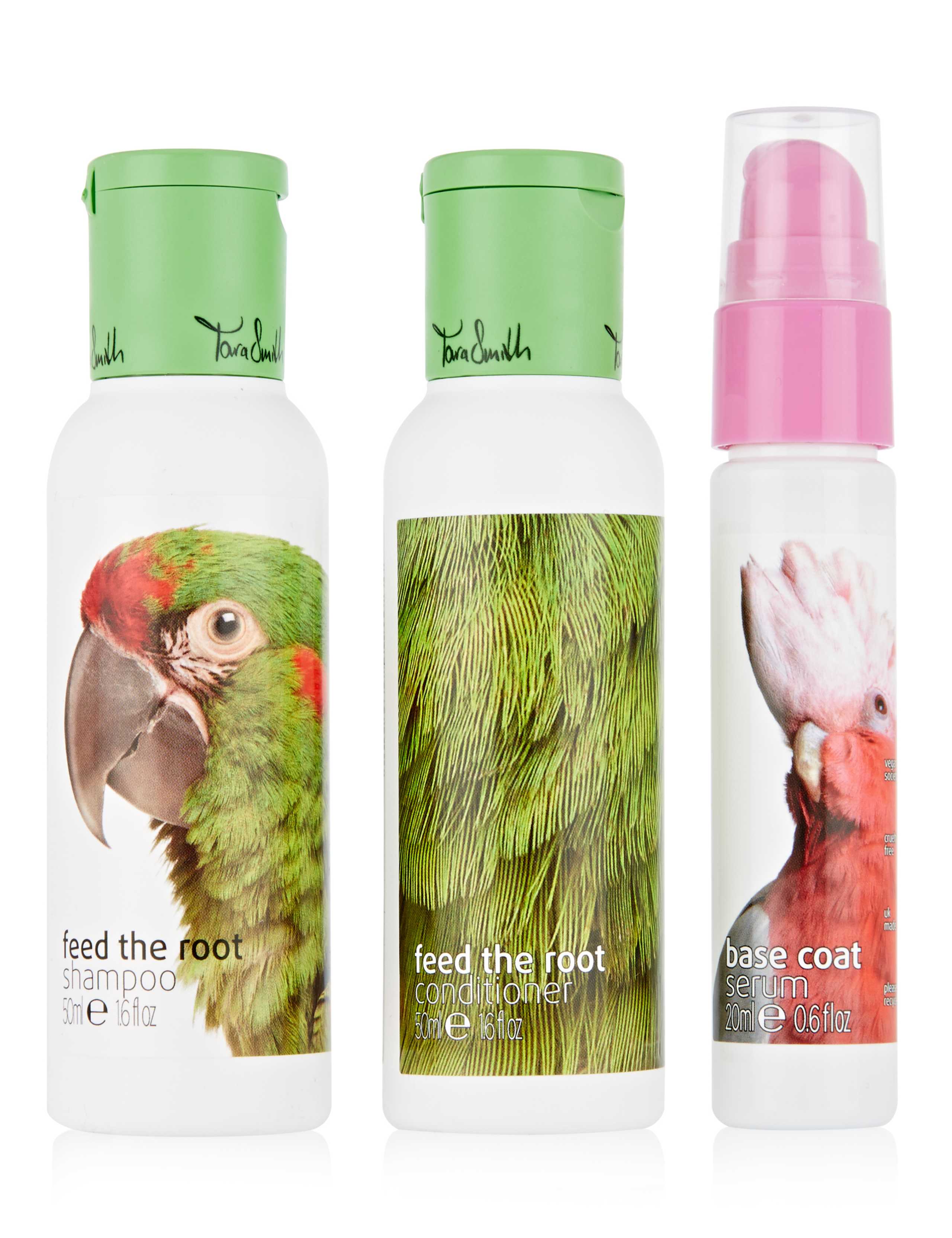 Shine On Tool Kit 2 of 2