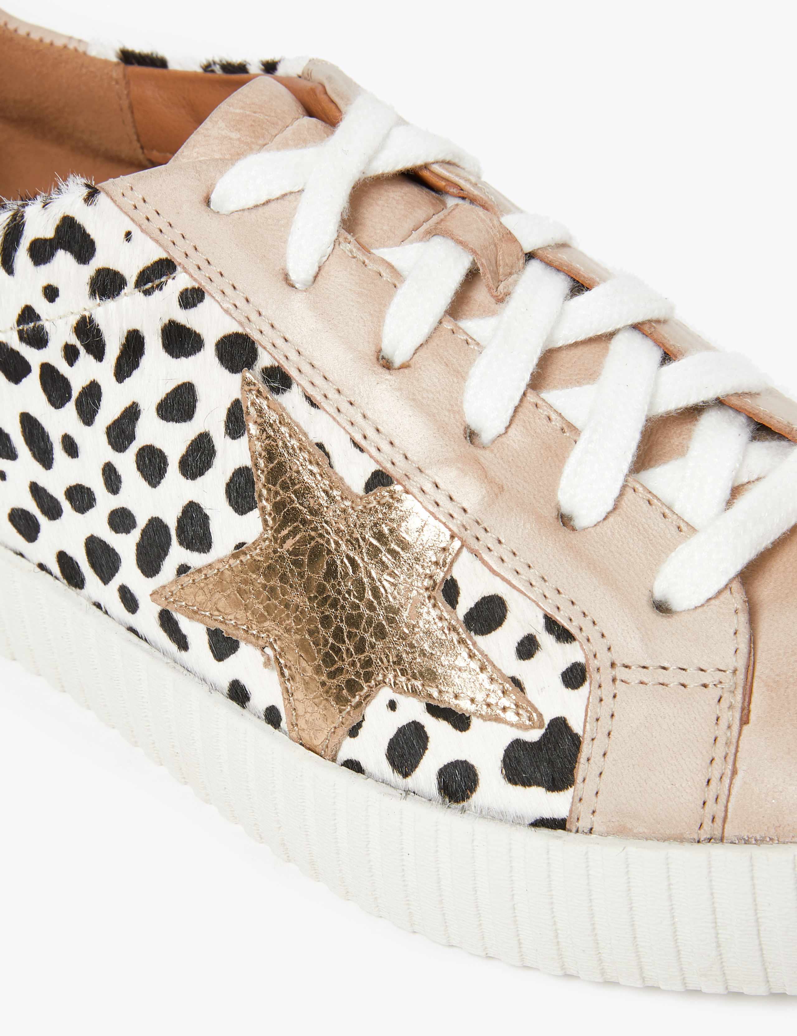 Leather Lace Up Leopard Print Star Trainers 3 of 4