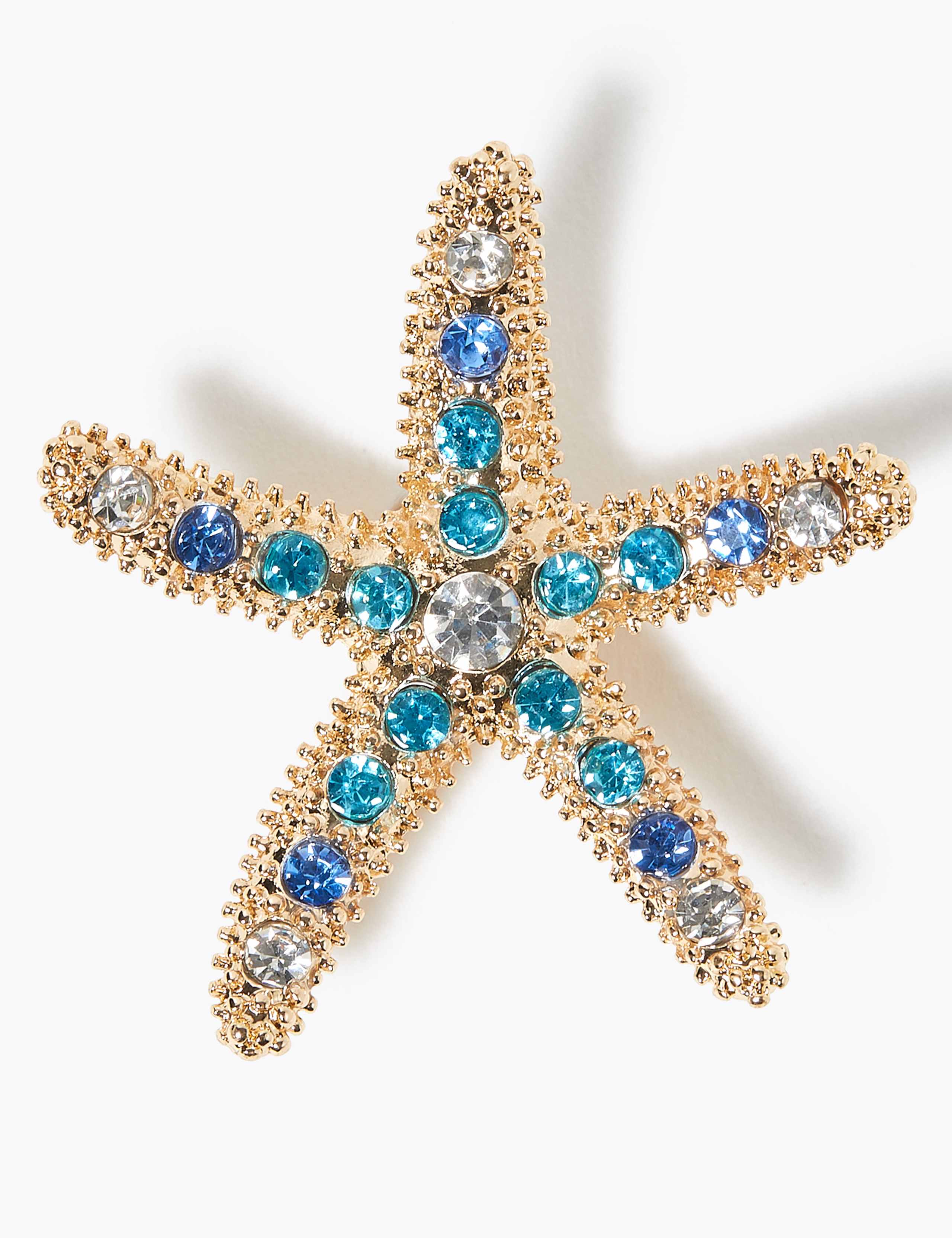 Starfish Brooch 1 of 1