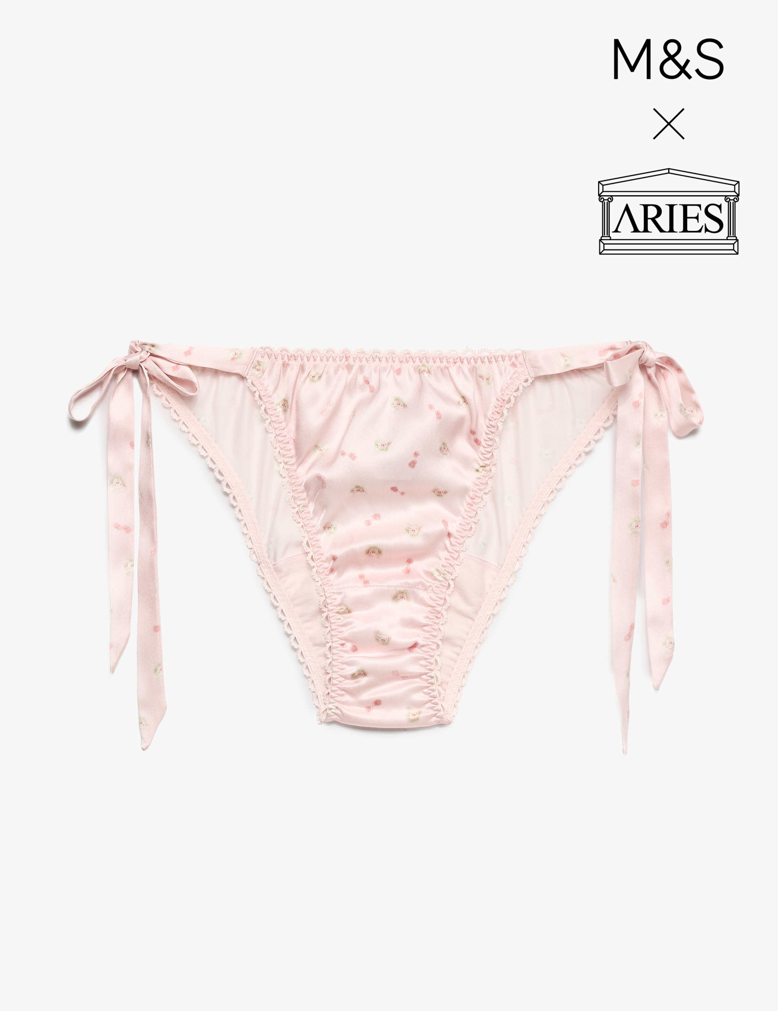 Pure Silk Tie Detail Knickers 1 of 1