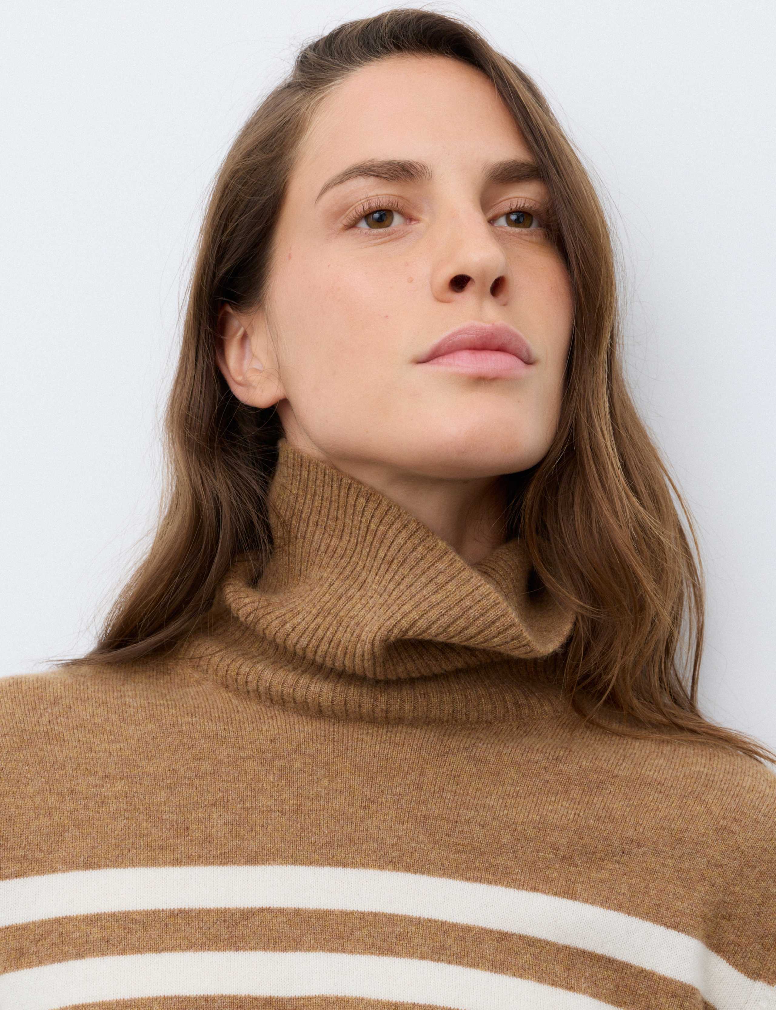 Pure Cashmere Striped Roll Neck Jumper 7 of 7