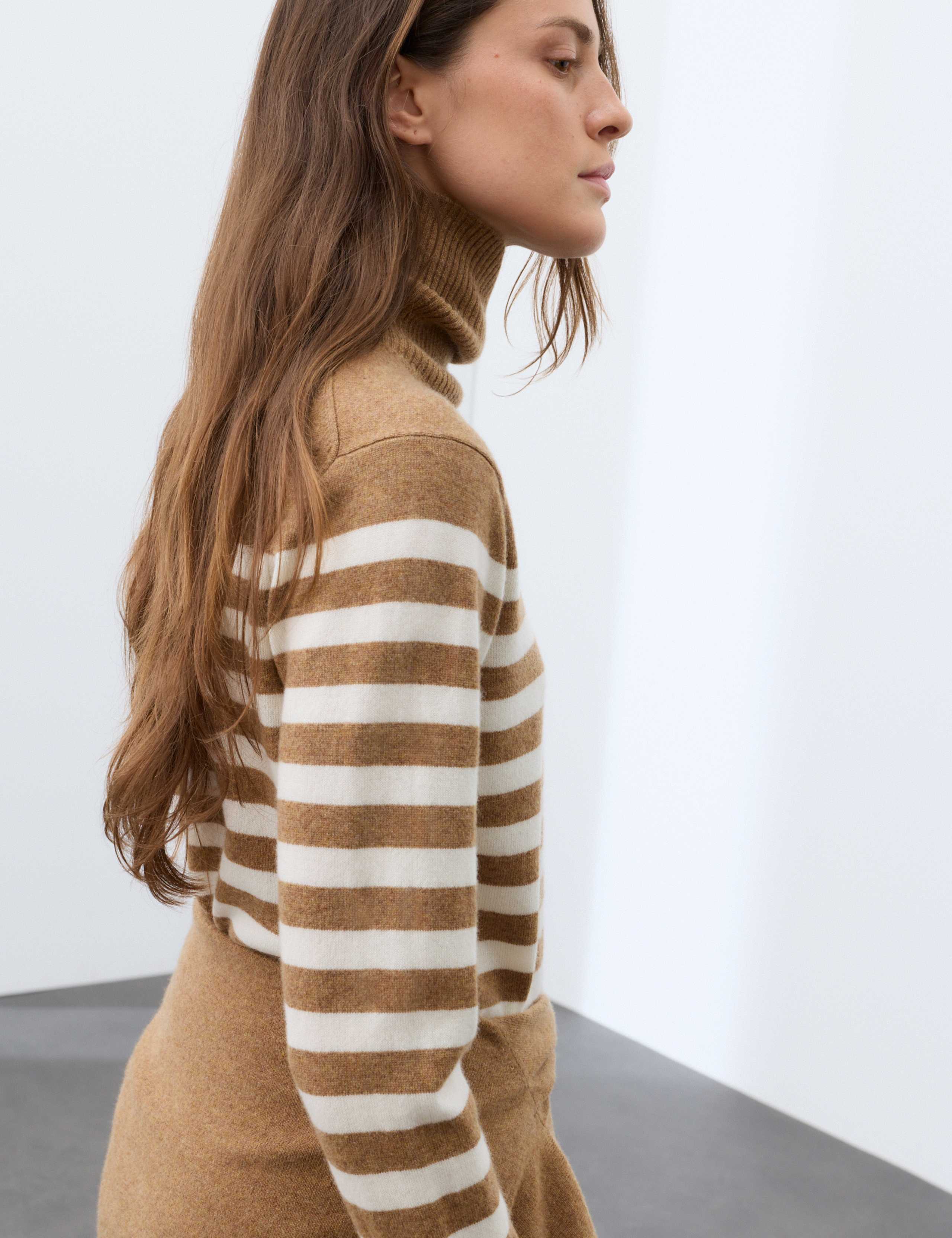 Pure Cashmere Striped Roll Neck Jumper 6 of 7