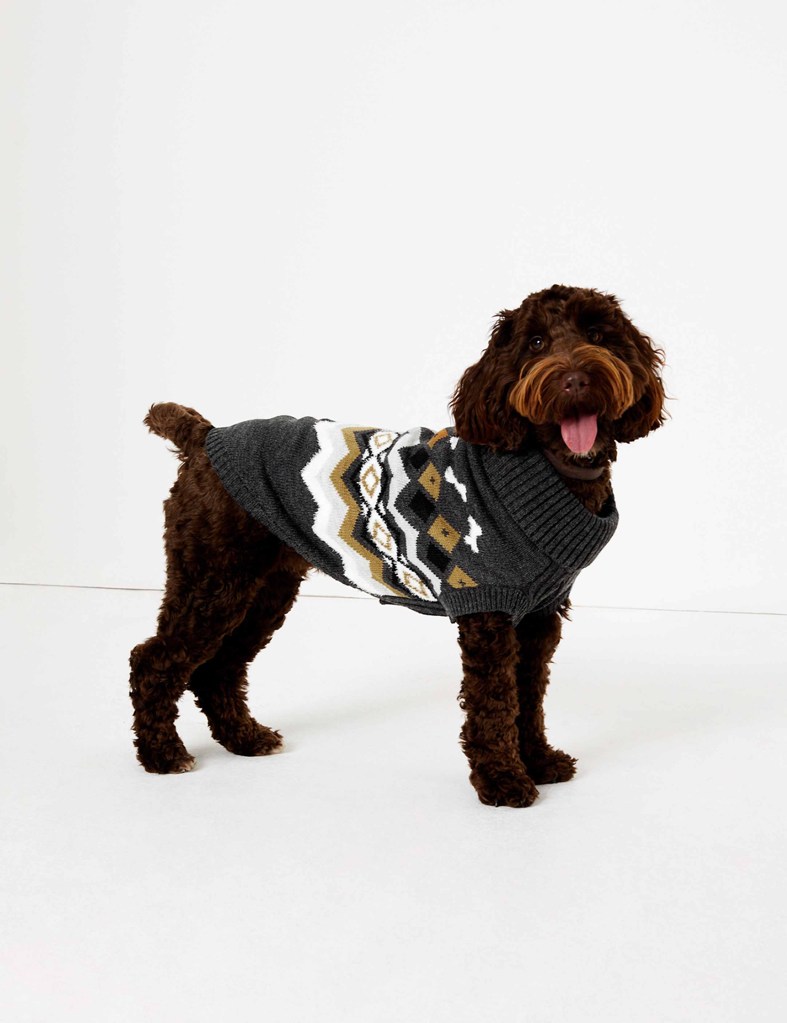 Chevron Stripe Bone Print Dog Jumper 1 of 6