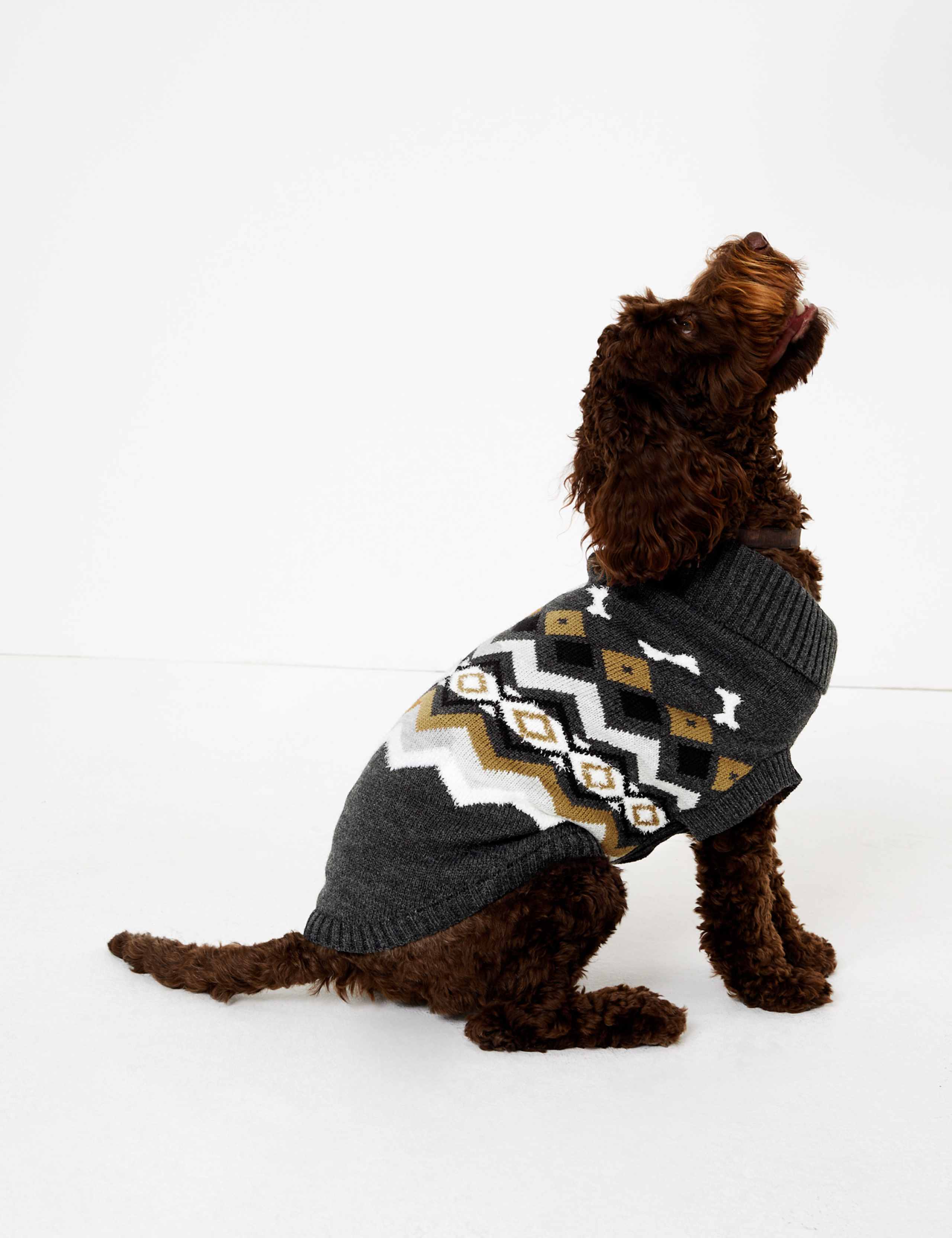Chevron Stripe Bone Print Dog Jumper 5 of 6