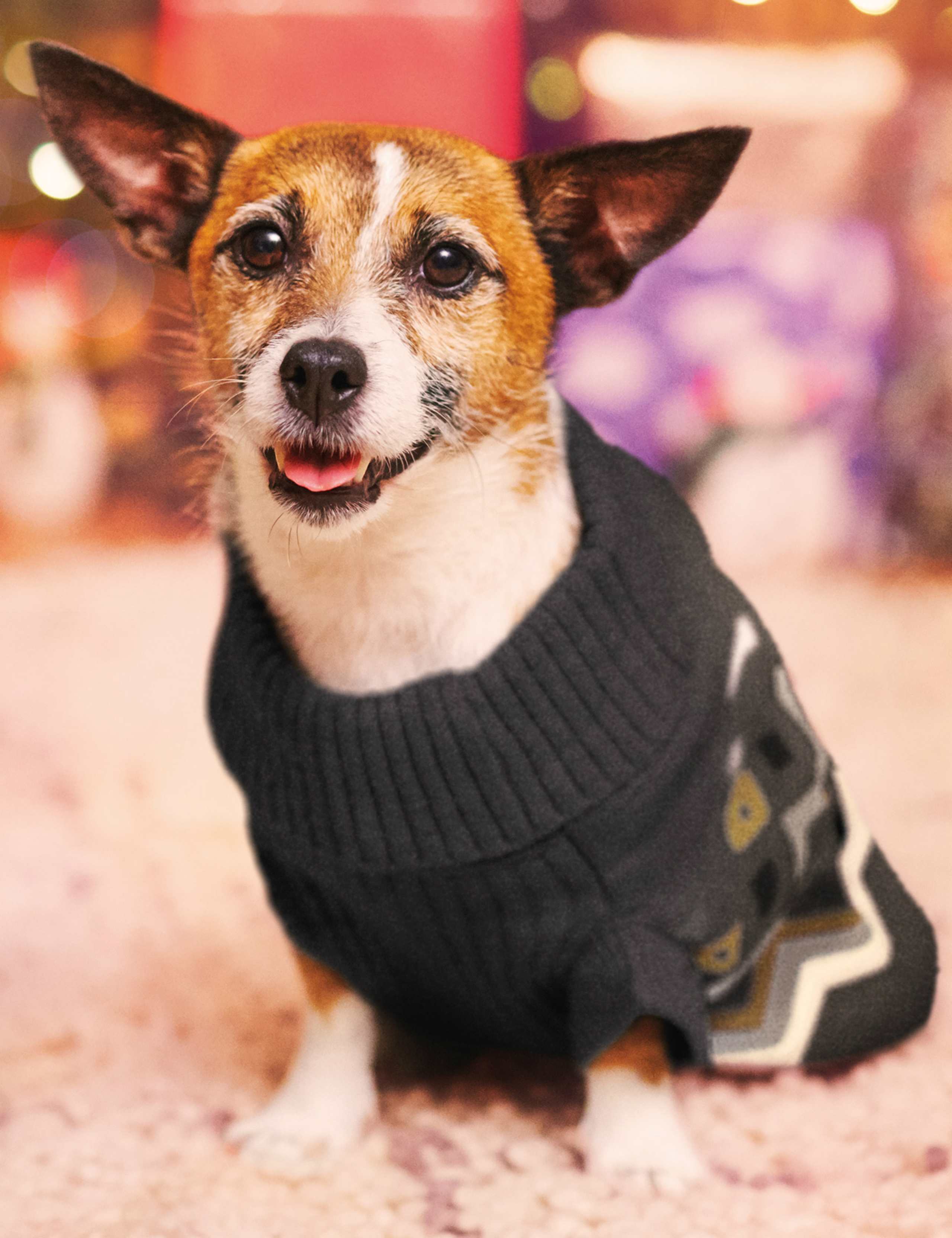 Chevron Stripe Bone Print Dog Jumper 2 of 6