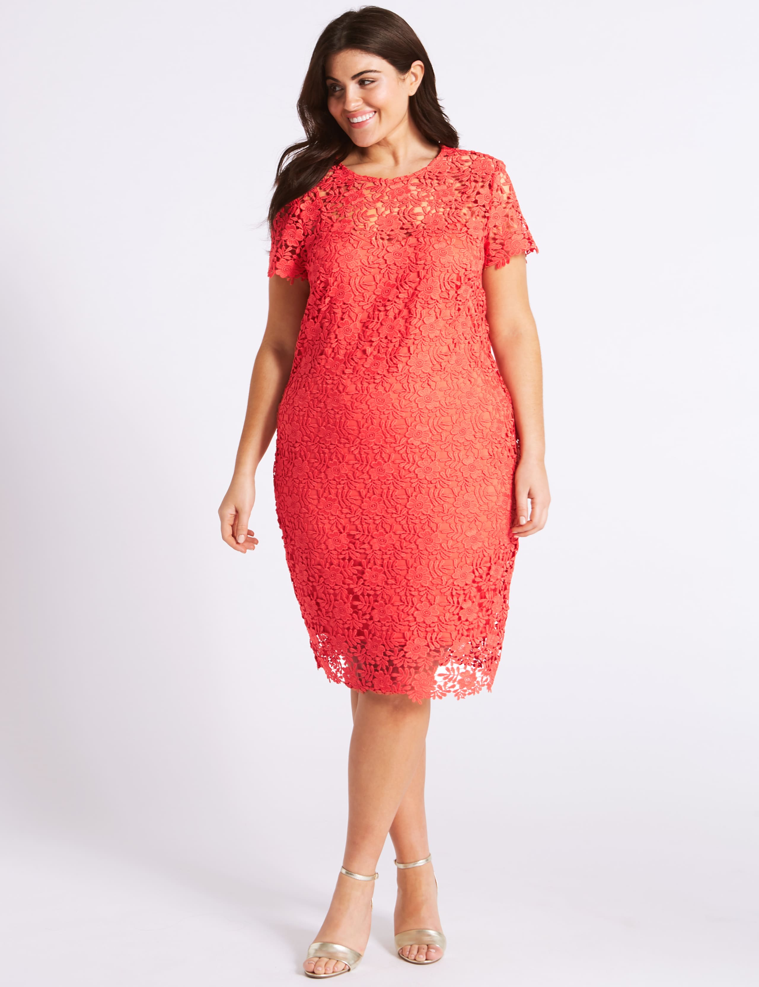 Lace Sheath Short Sleeve Bodycon Midi Dress 4 of 7