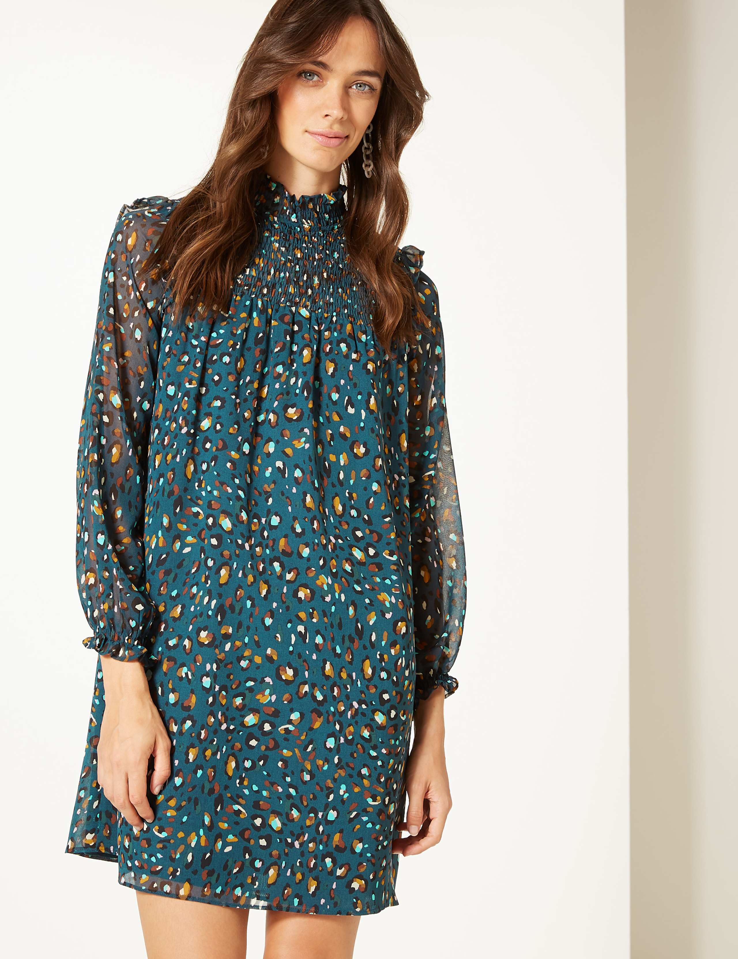 Animal Print Long Sleeve Swing Mini Dress 3 of 4
