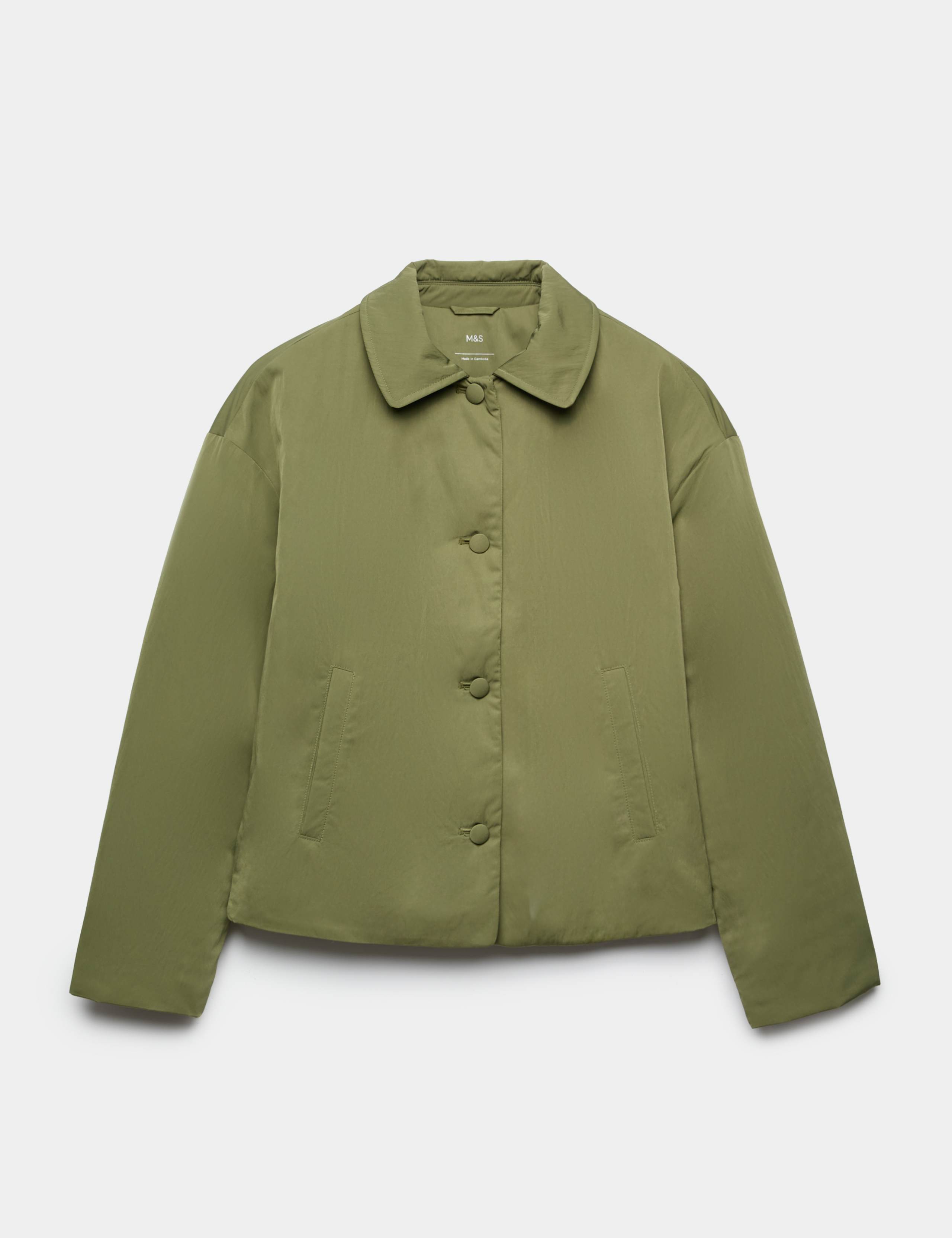 Padded Collared Short Jacket 2 of 6