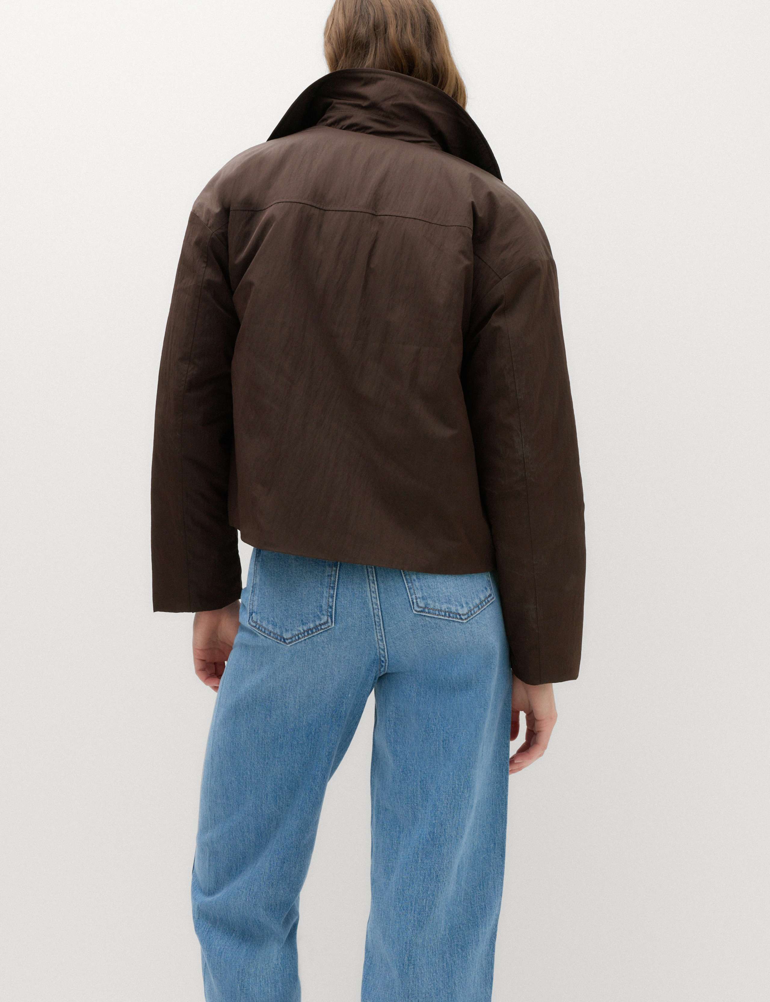 Padded Collared Short Jacket 4 of 6