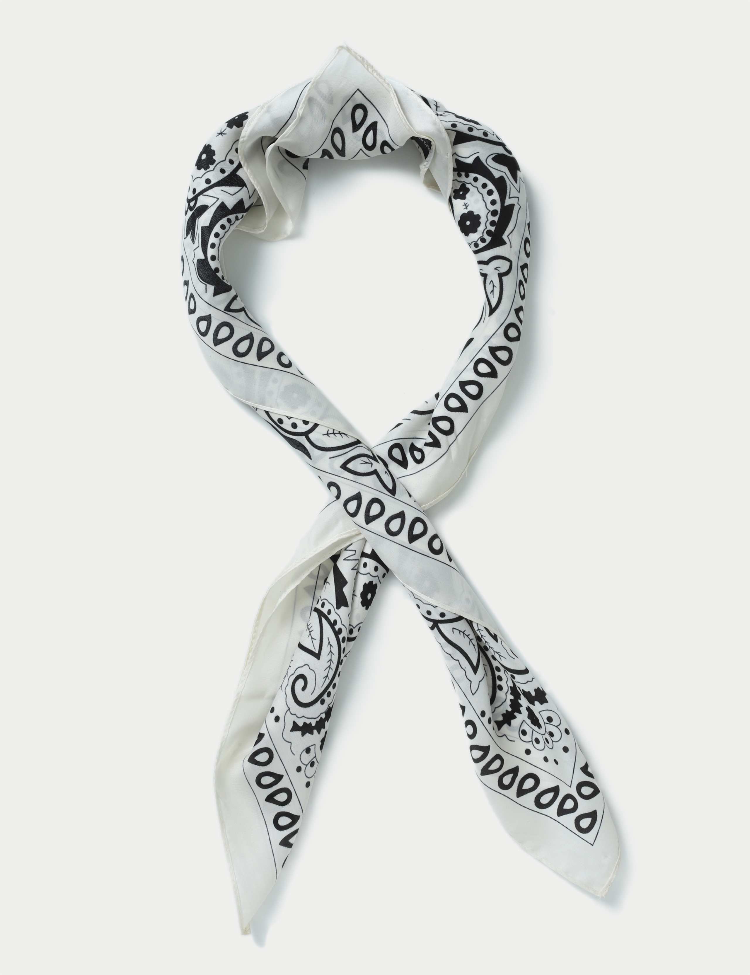 Paisley Bandana 2 of 3