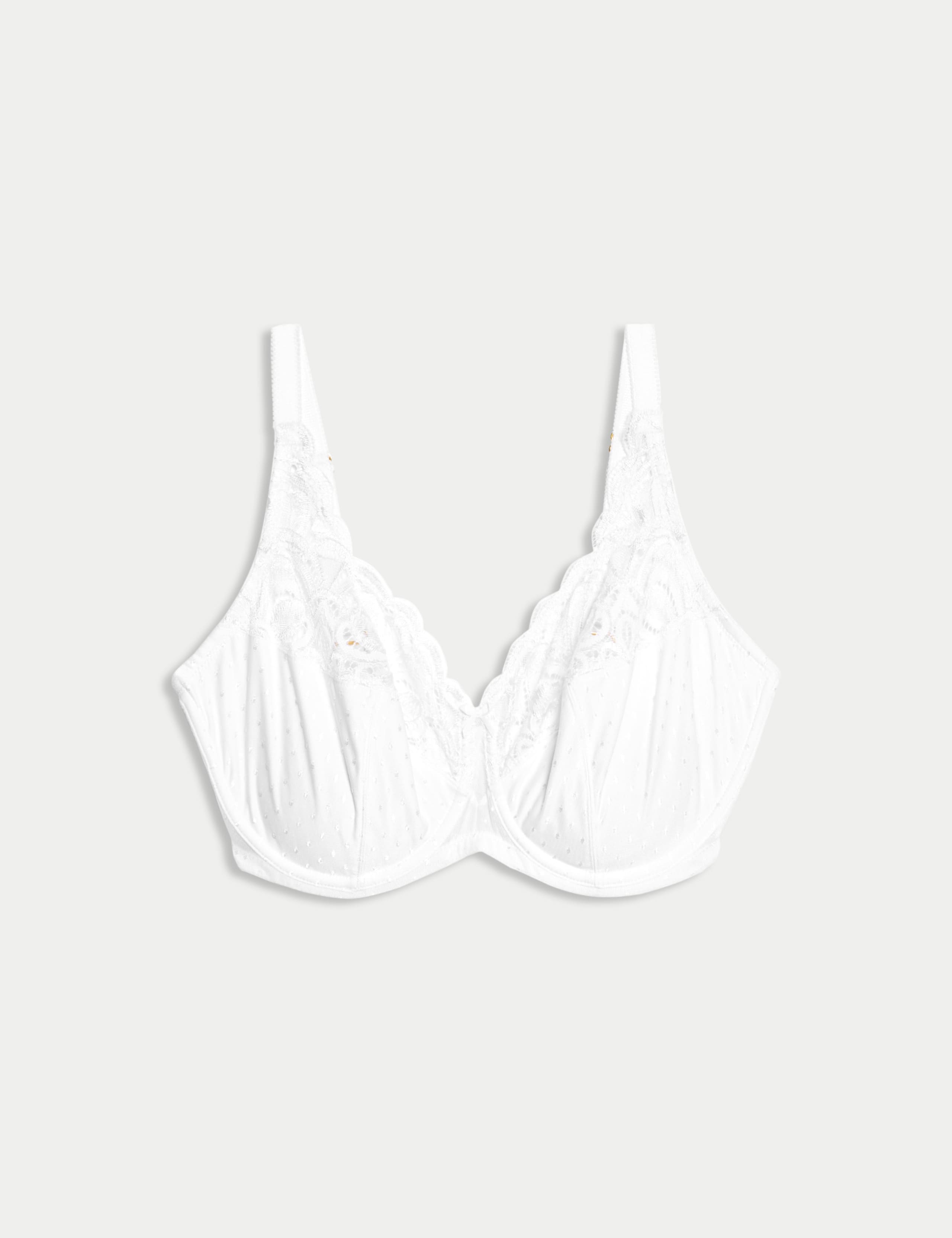 Amelia Lace Wired Full Cup Bra (F+) 2 of 6