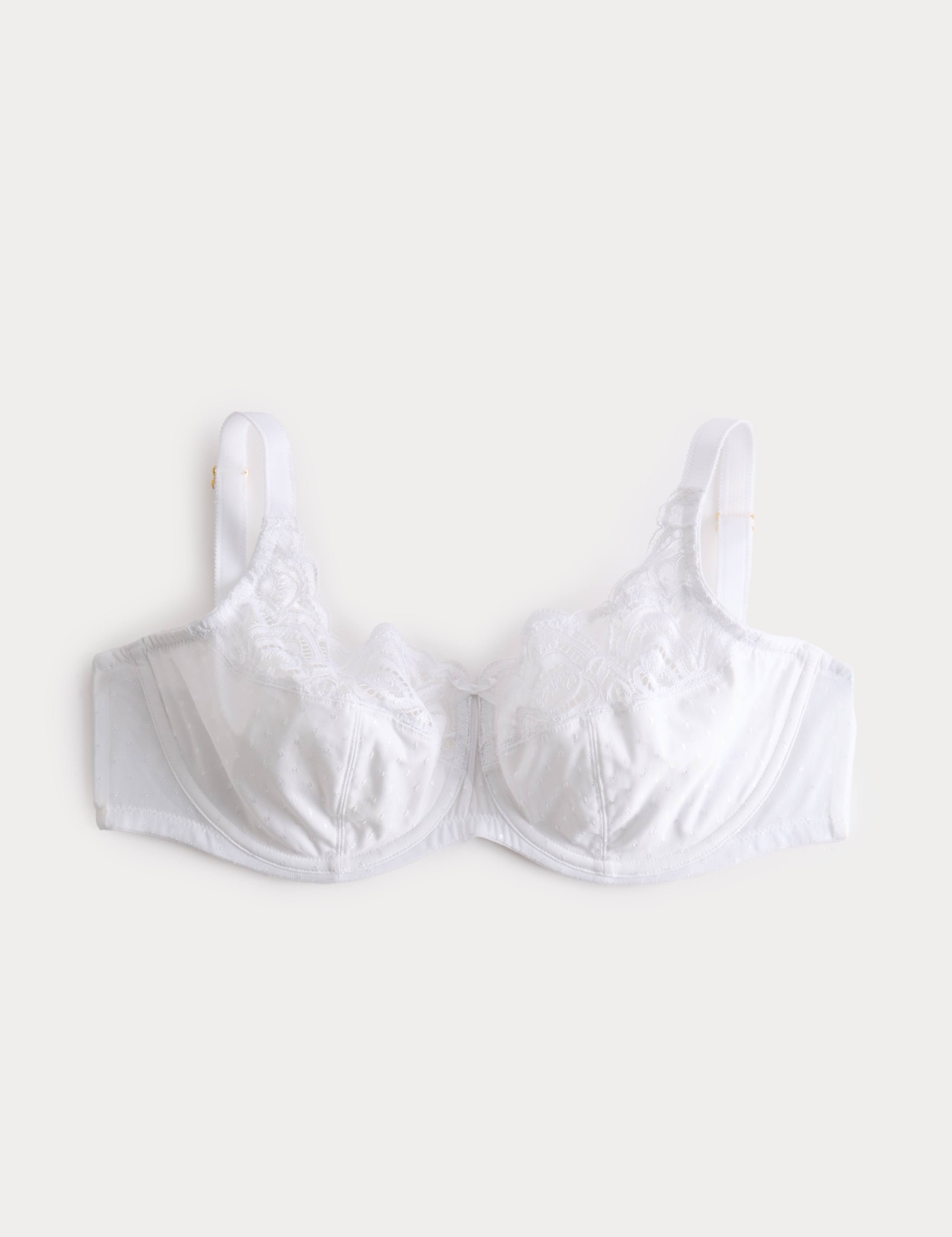 Amelia Lace Wired Full Cup Bra F-J 2 of 7