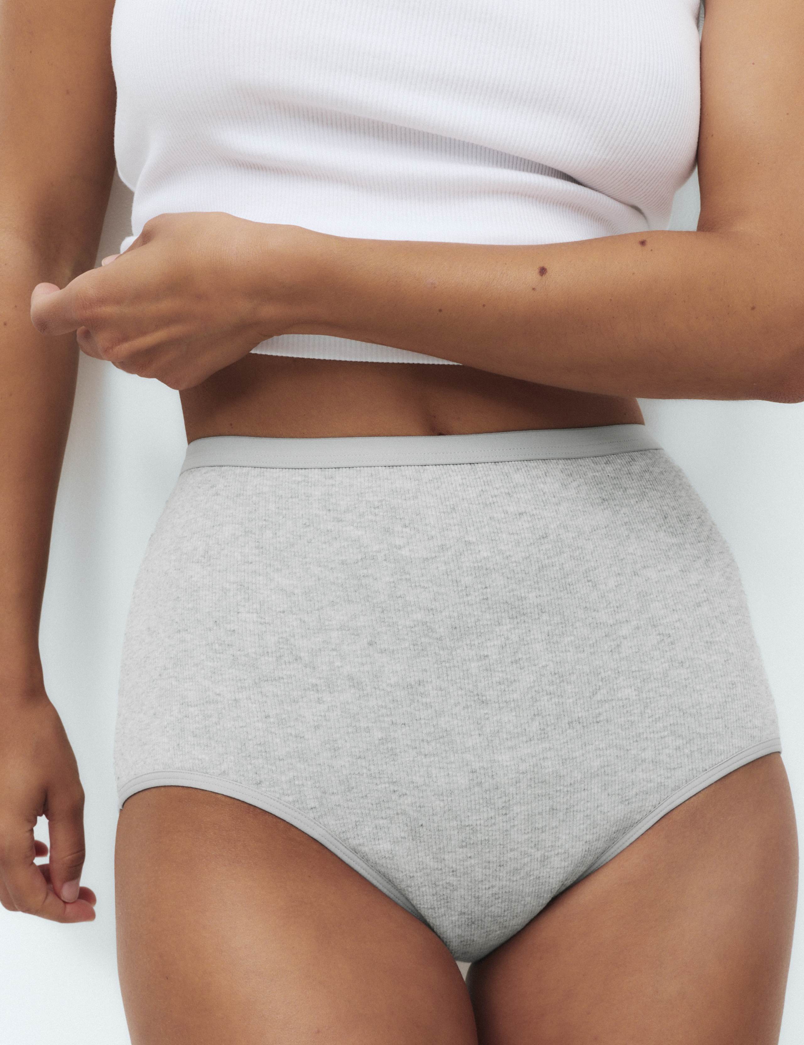 2 Pack Heavy Absorbency Period Full Briefs 2 of 4