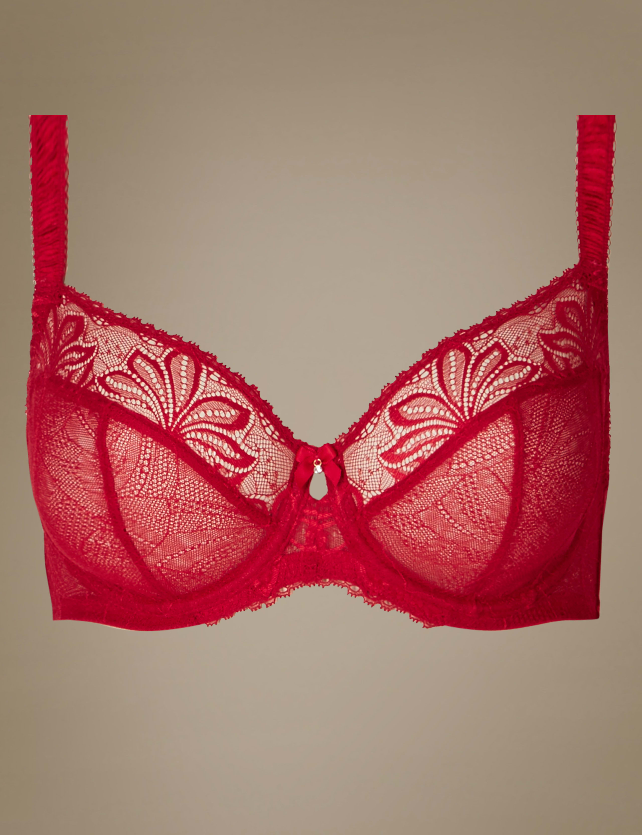 Arelia Lace Non-Padded Underwired Balcony Bra DD-GG 2 of 5