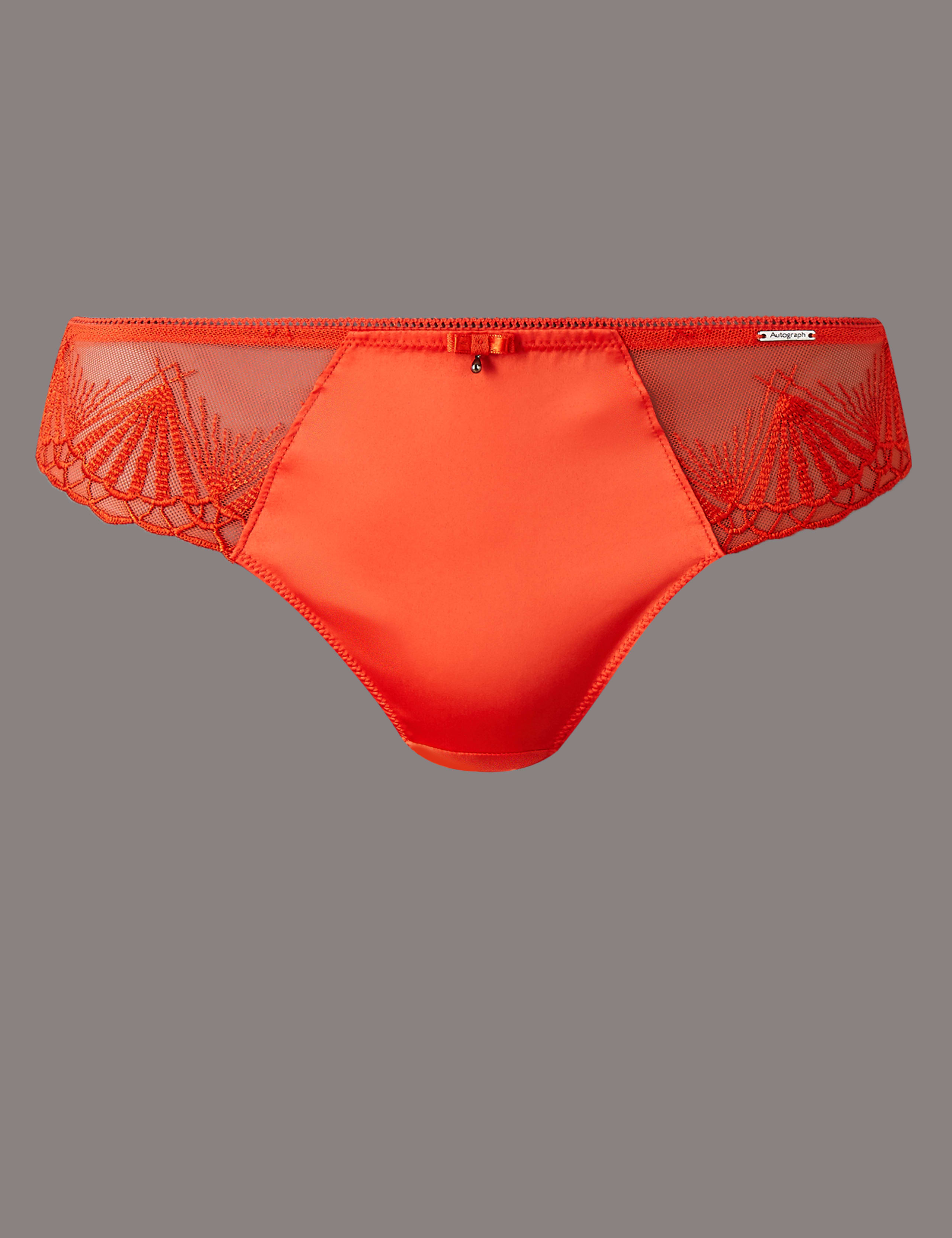Satin Embroidered Thong 2 of 5