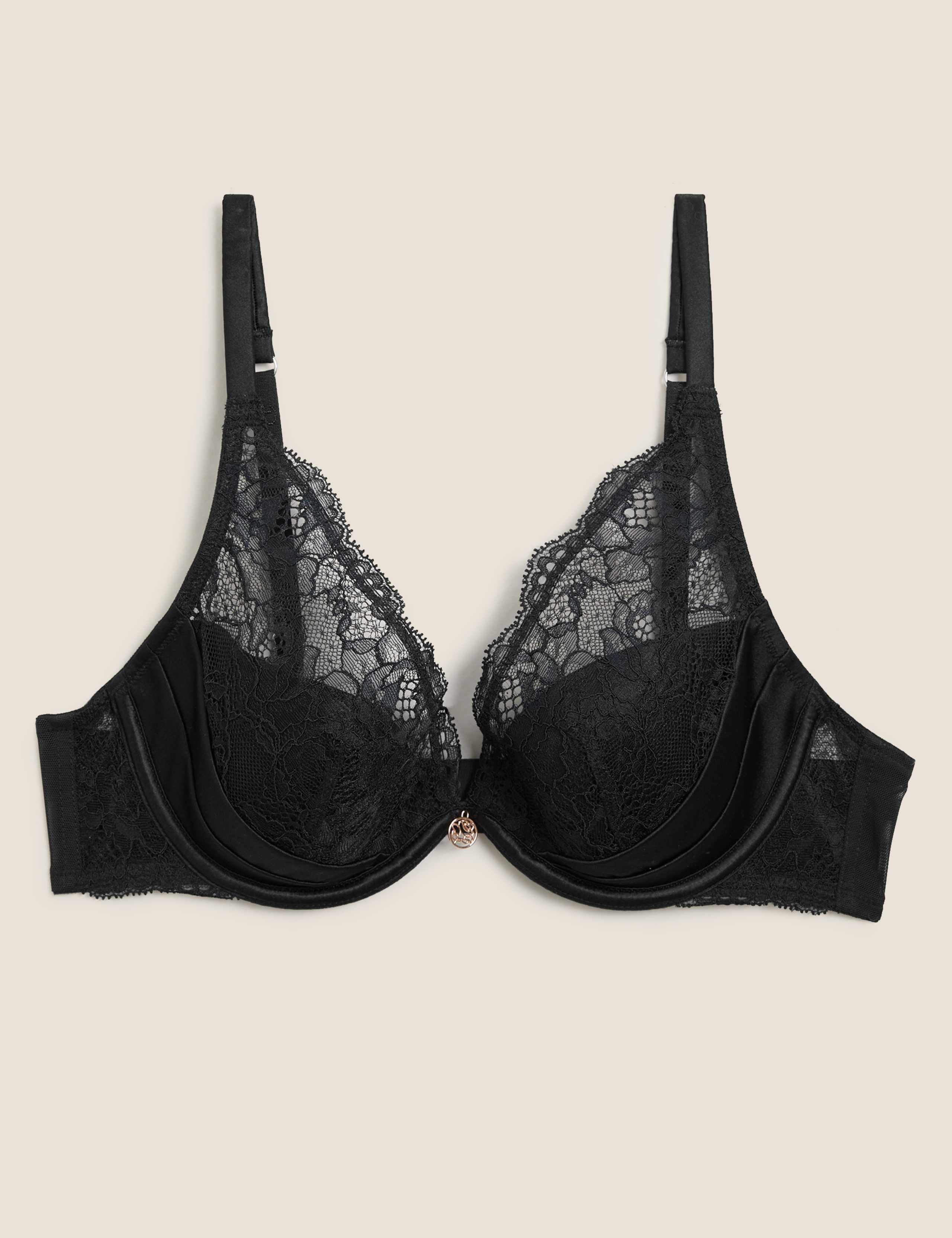 Silk & Lace Padded Plunge Bra A-G 1 of 5