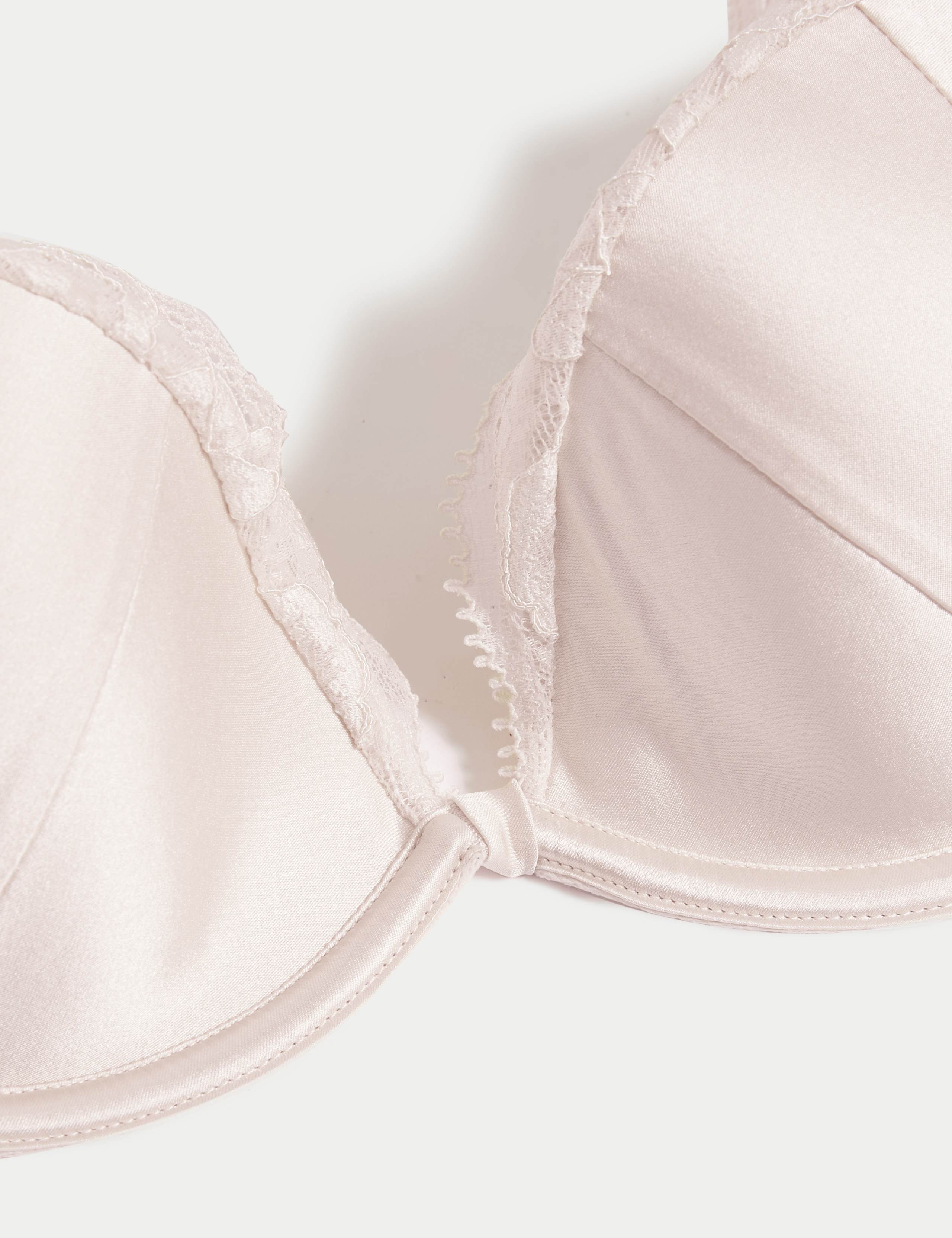 Beau Silk & Lace Wired Plunge Bra (A-E) 5 of 6