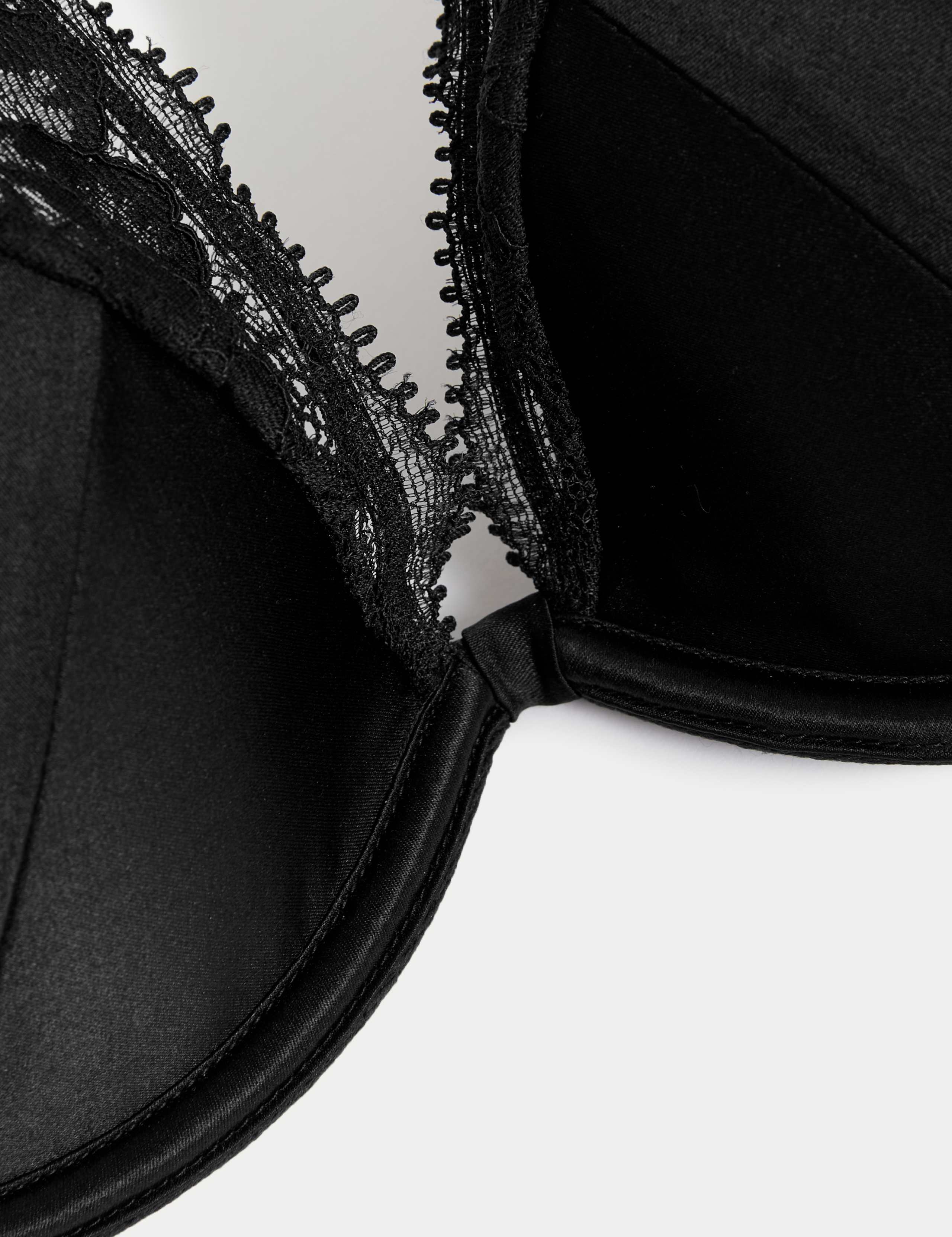 Beau Silk & Lace Wired Plunge Bra (A-E) 5 of 6