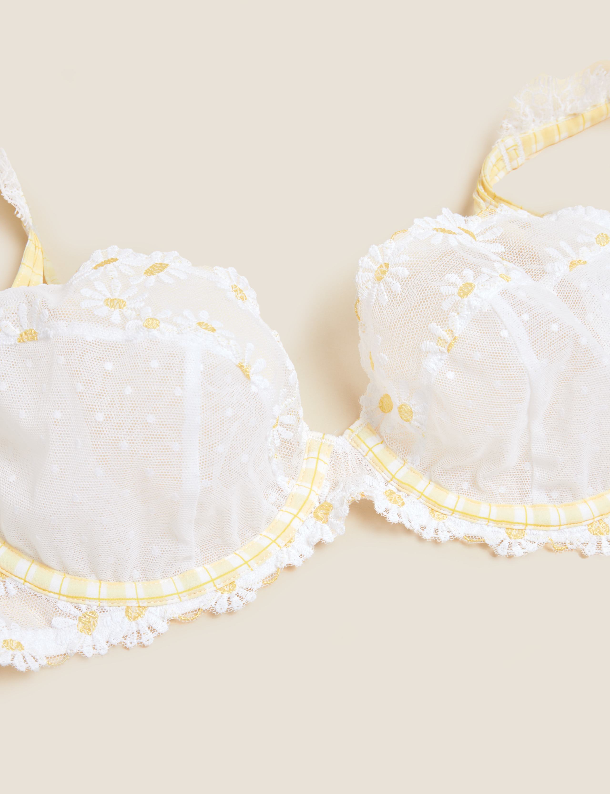 Delphy Embroidered Wired Plunge Bra A-E 6 of 7