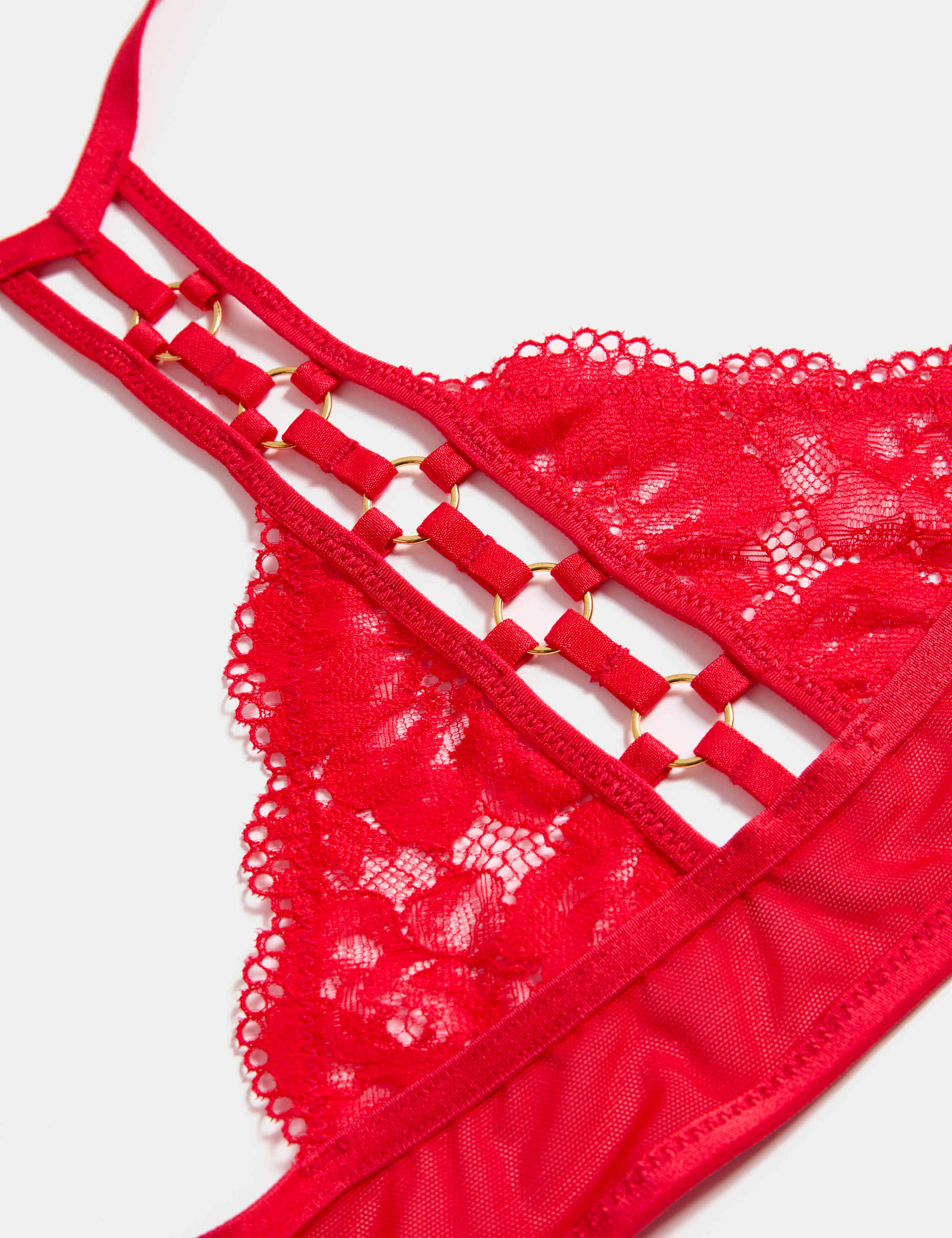 Vera Lace Wired Push Up Plunge Bra (A-E) 7 of 8