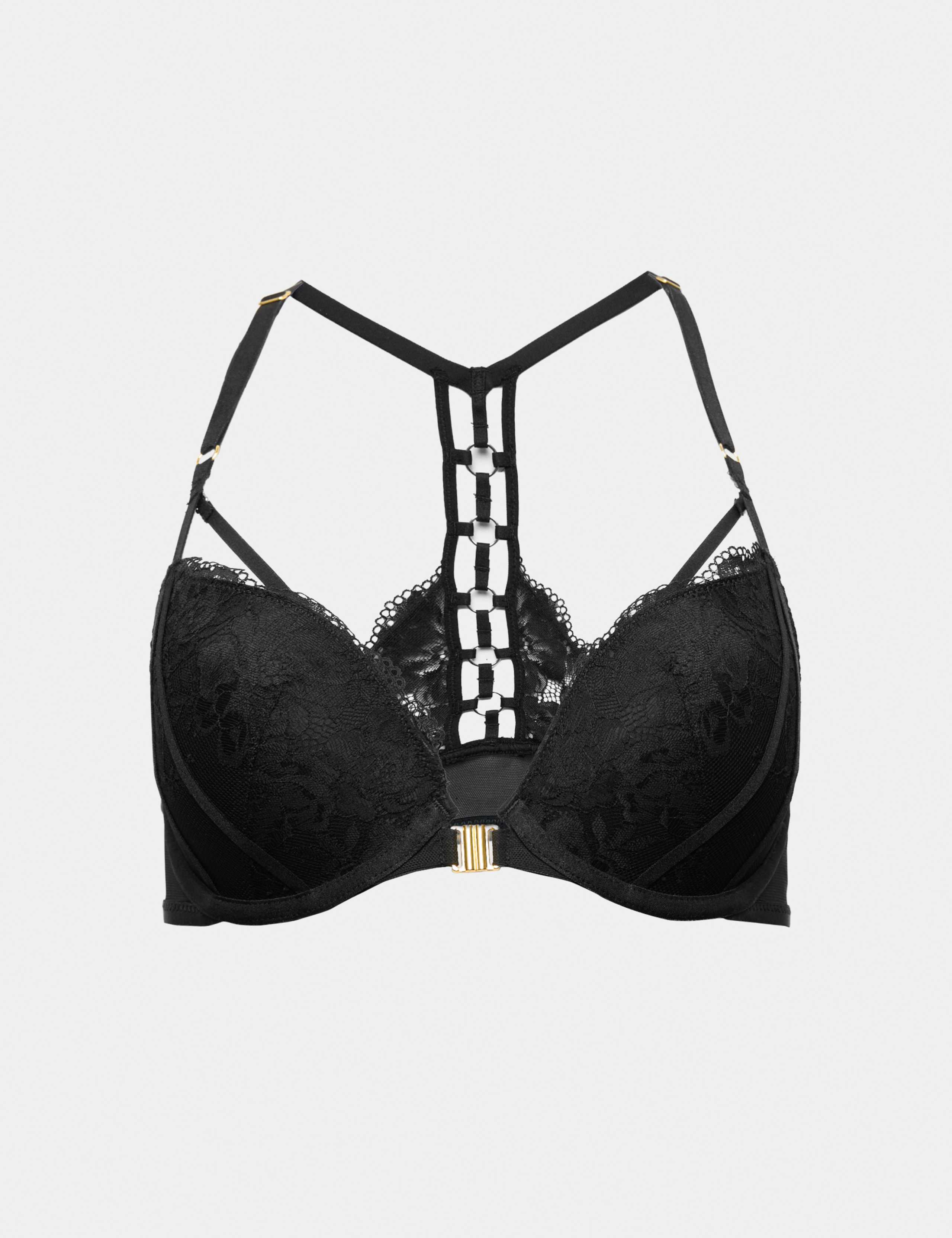 Vera Lace Wired Push Up Plunge Bra A-E 2 of 5