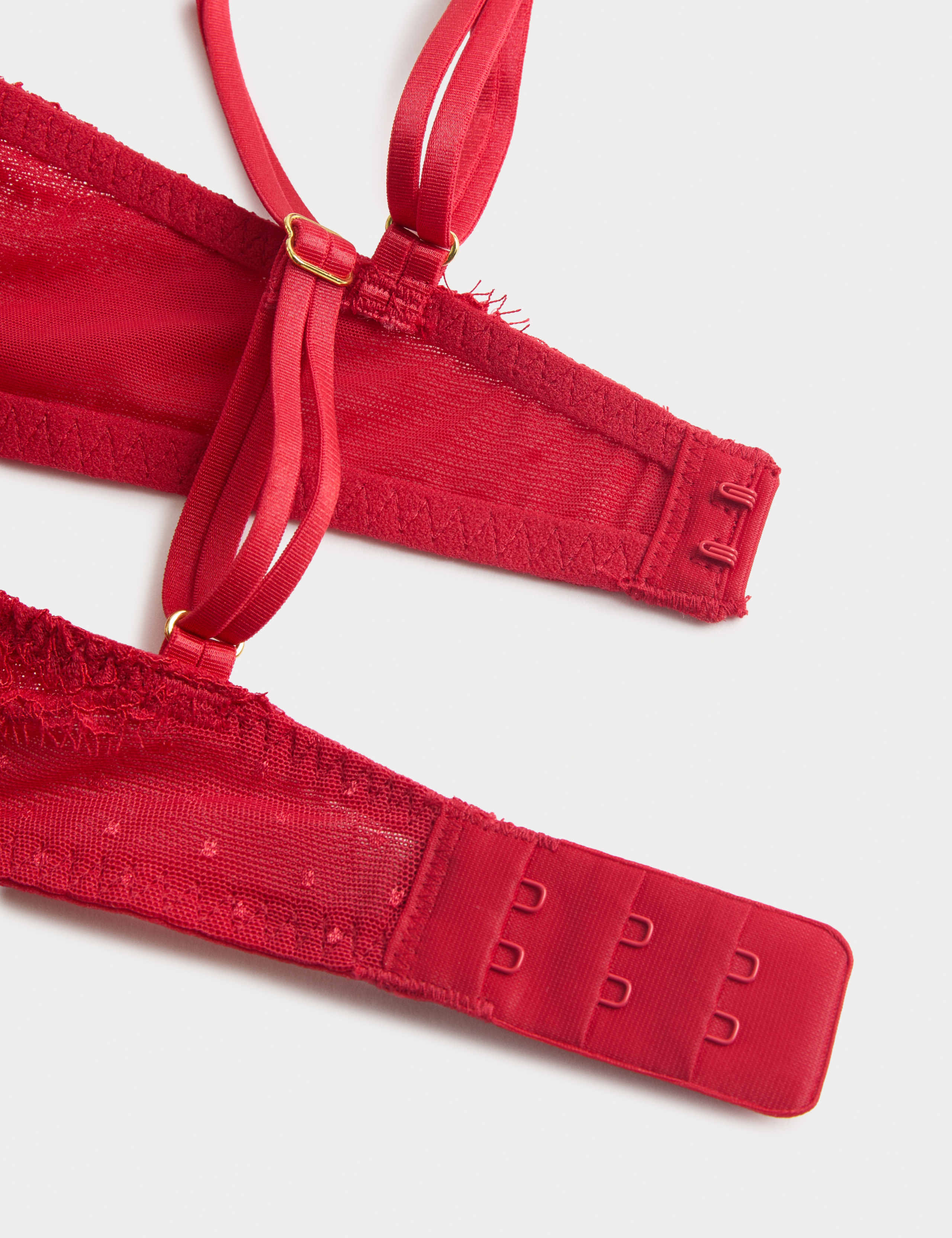 Ida Lace Wired Push-Up Plunge Bra (A-E) 3 of 3