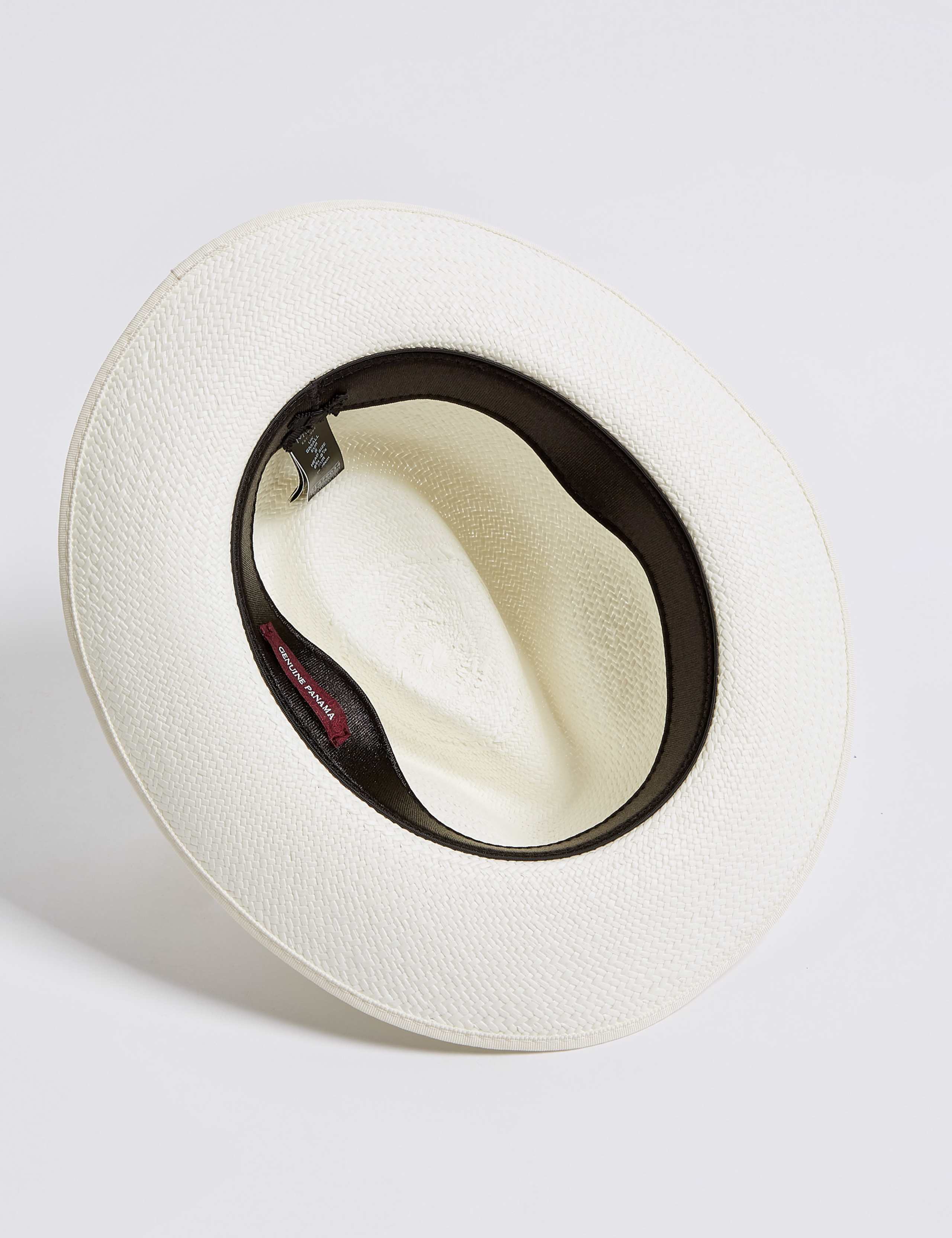 Stripe Band Panama Hat 4 of 4