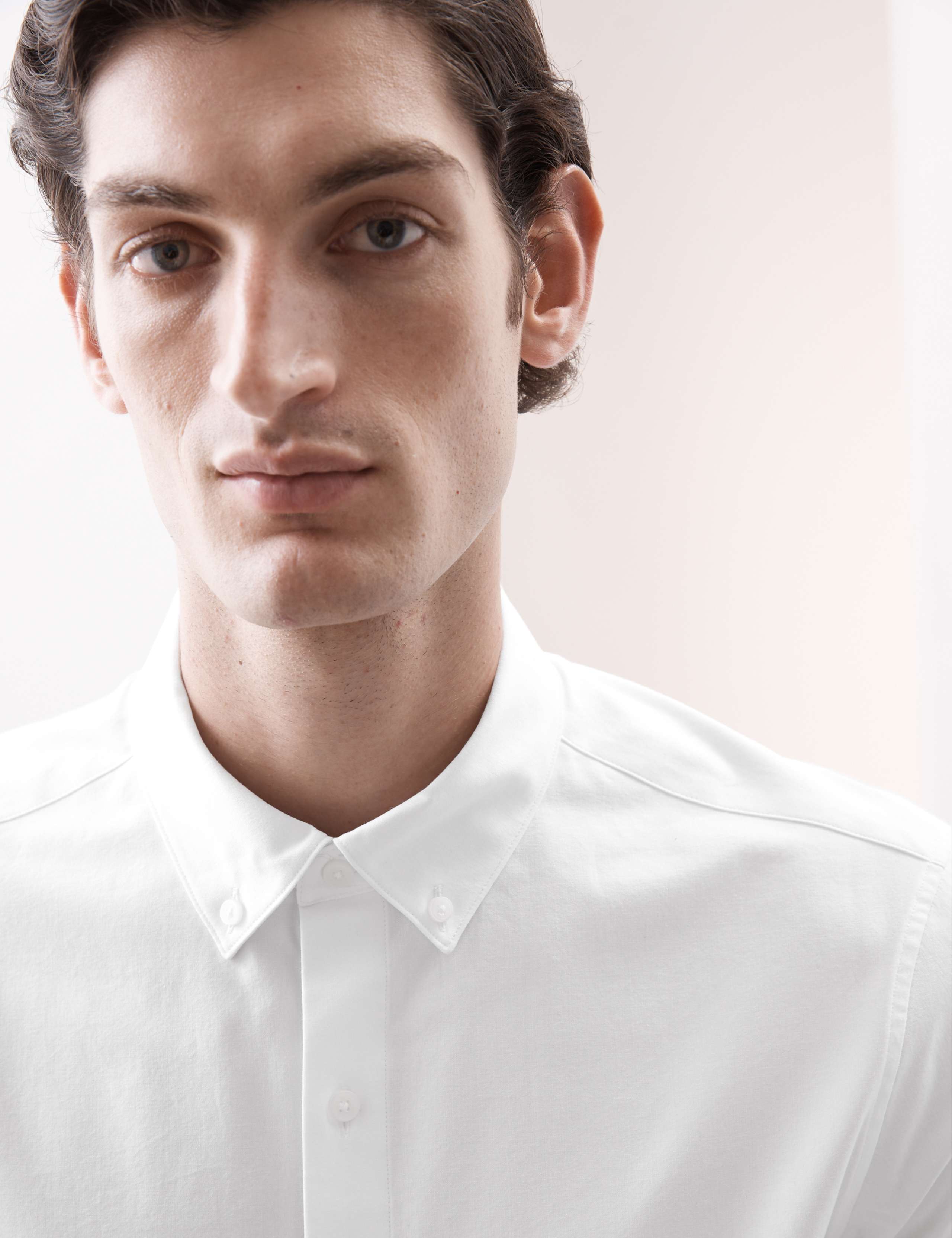 Regular Fit Cotton Stretch 360 Flex™ Shirt 6 of 8