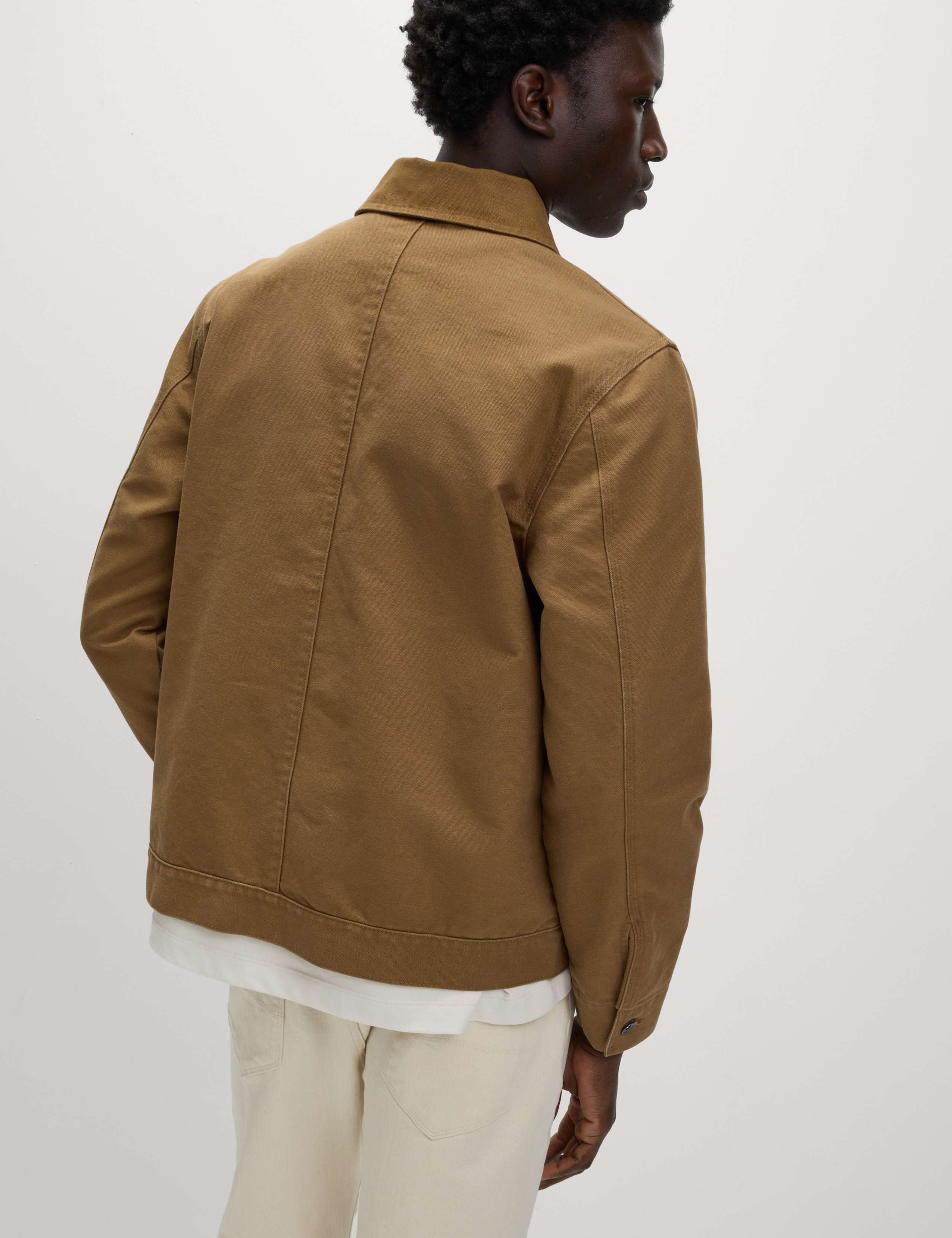 Cotton Rich Canvas Harrington Jacket 6 of 6