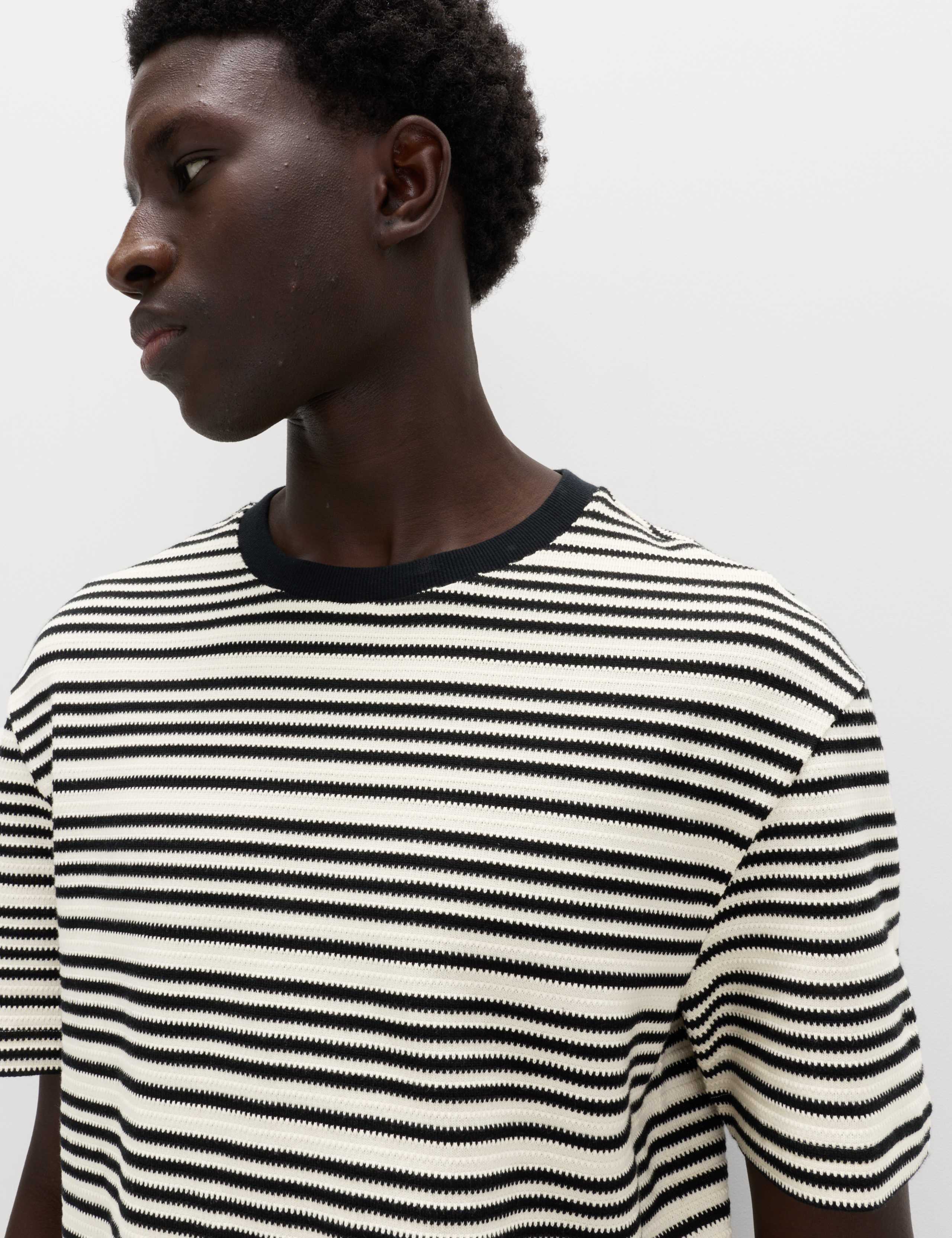 Relaxed Fit Cotton Rich Textured Striped T-Shirt 3 of 6