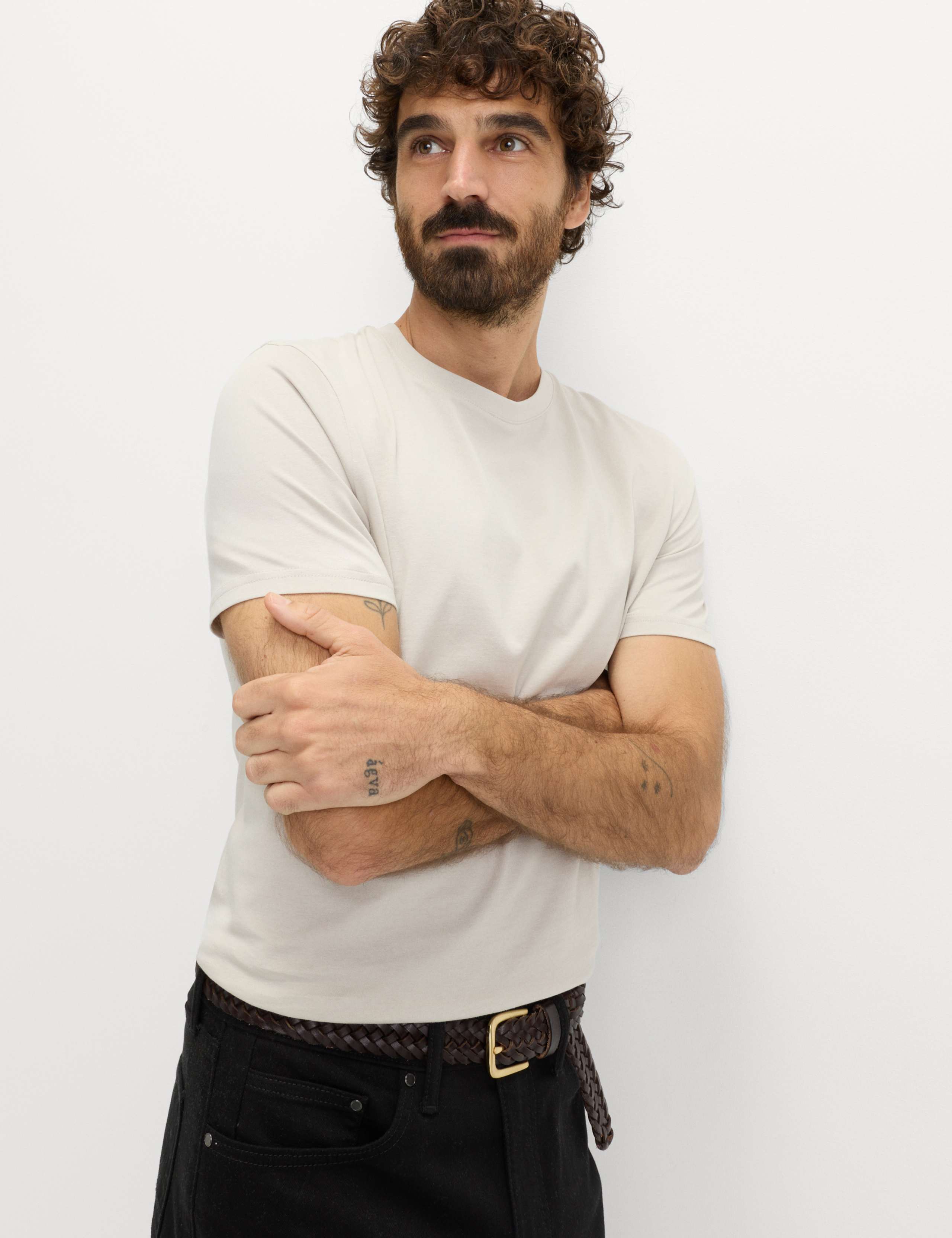 Regular Fit Pure Cotton Crew Neck T-Shirt 4 of 4