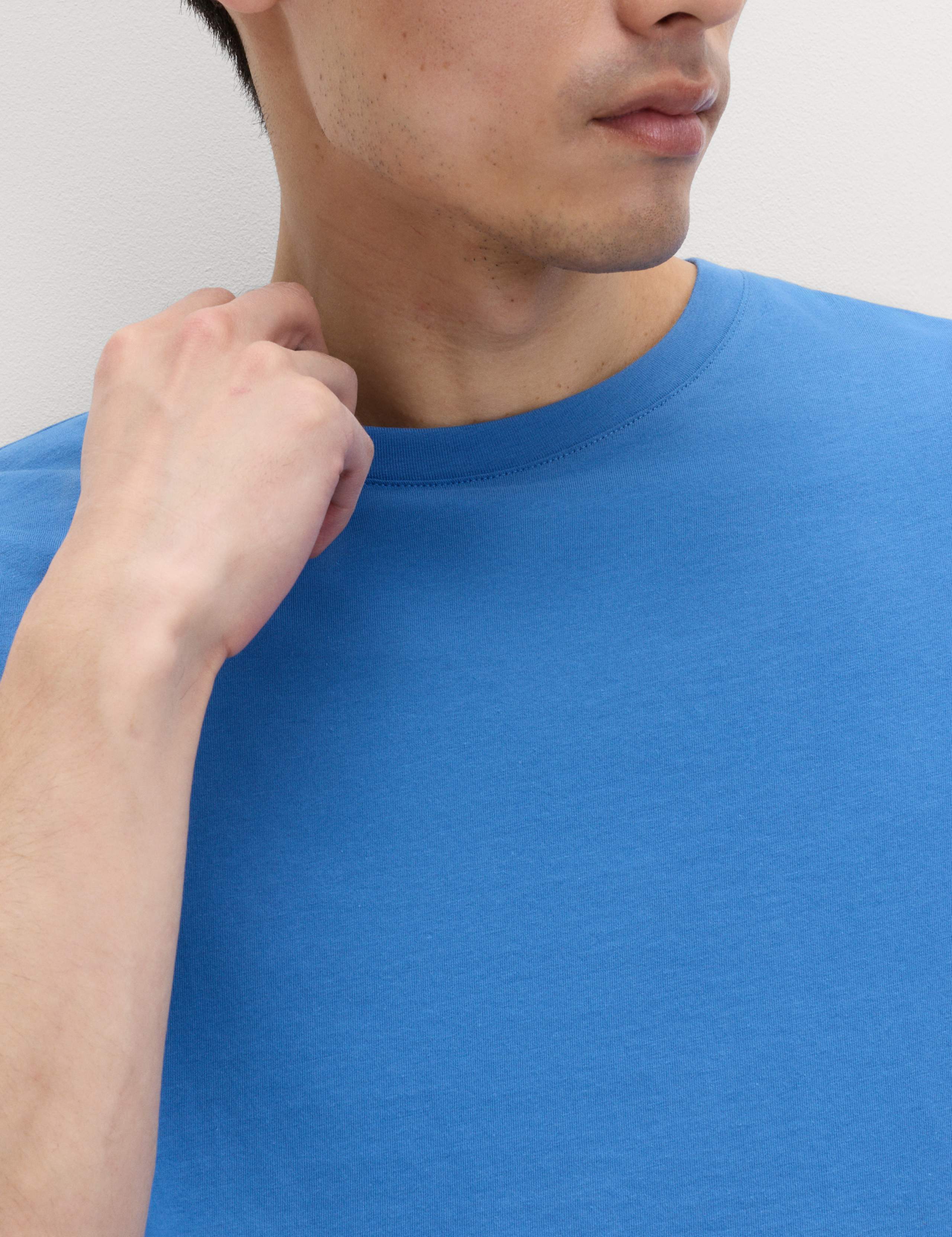 Regular Fit Pure Cotton Crew Neck T-Shirt 3 of 5