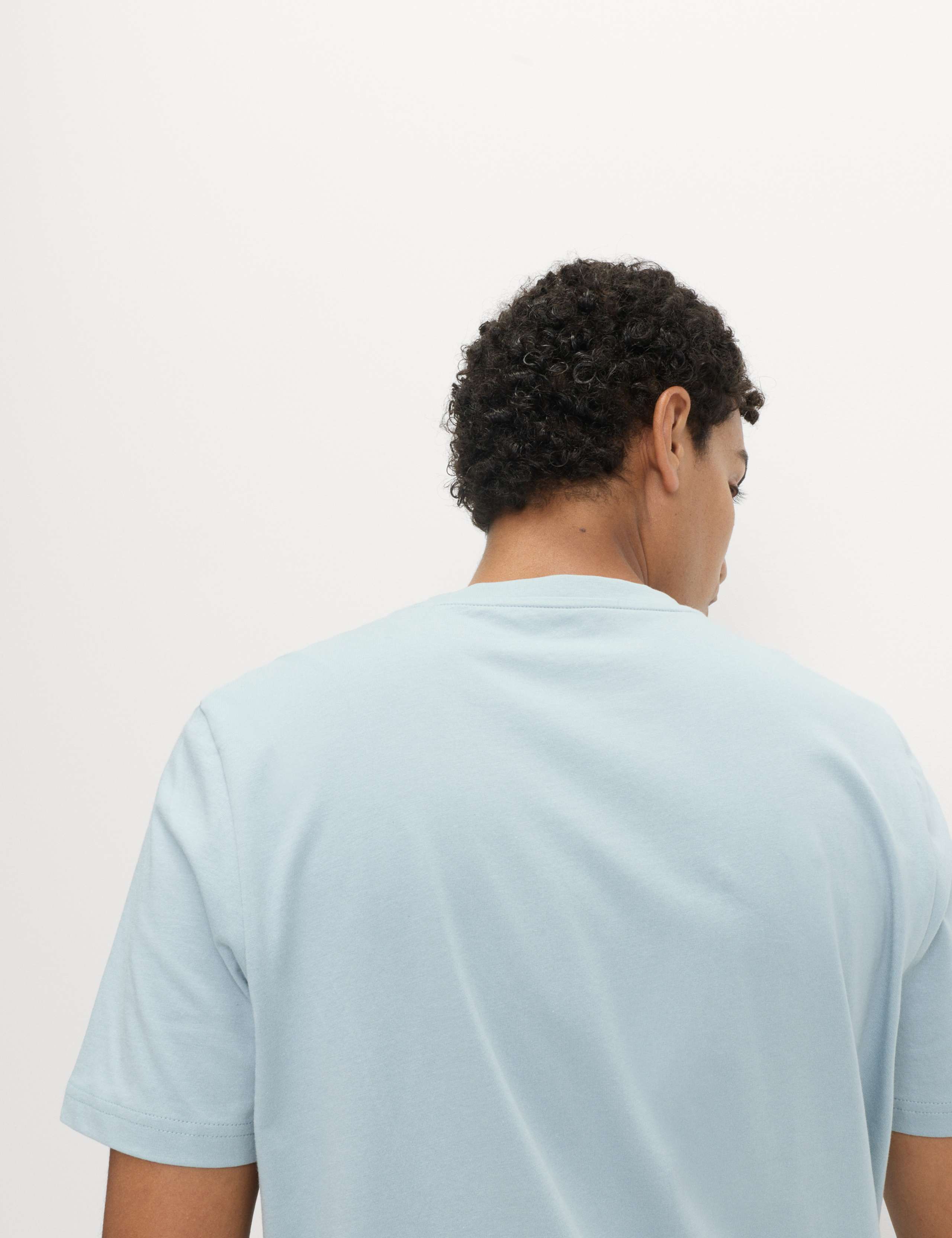 Regular Fit Pure Cotton Crew Neck T-Shirt 3 of 3