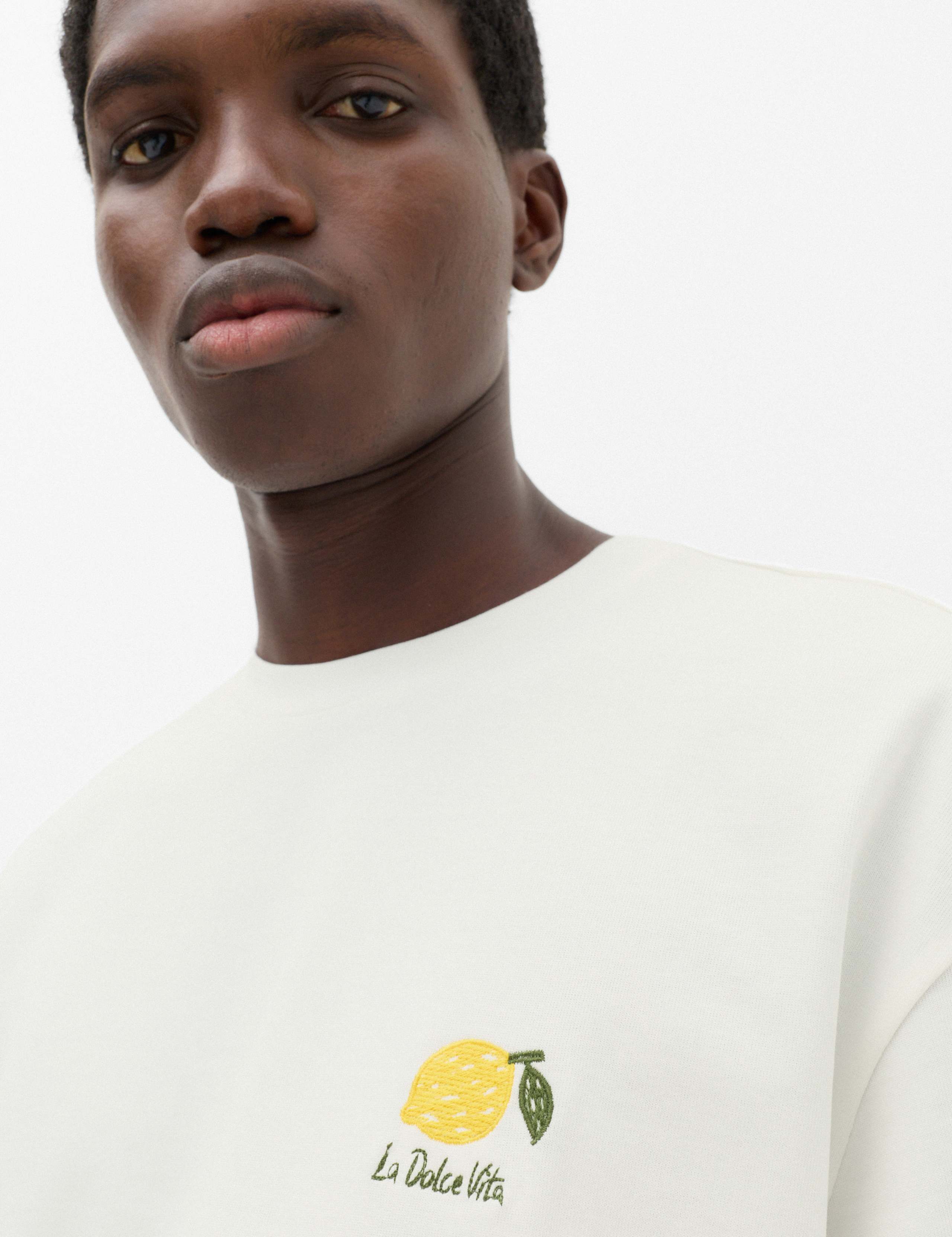 Oversized Pure Cotton Embroidered T-Shirt 3 of 4