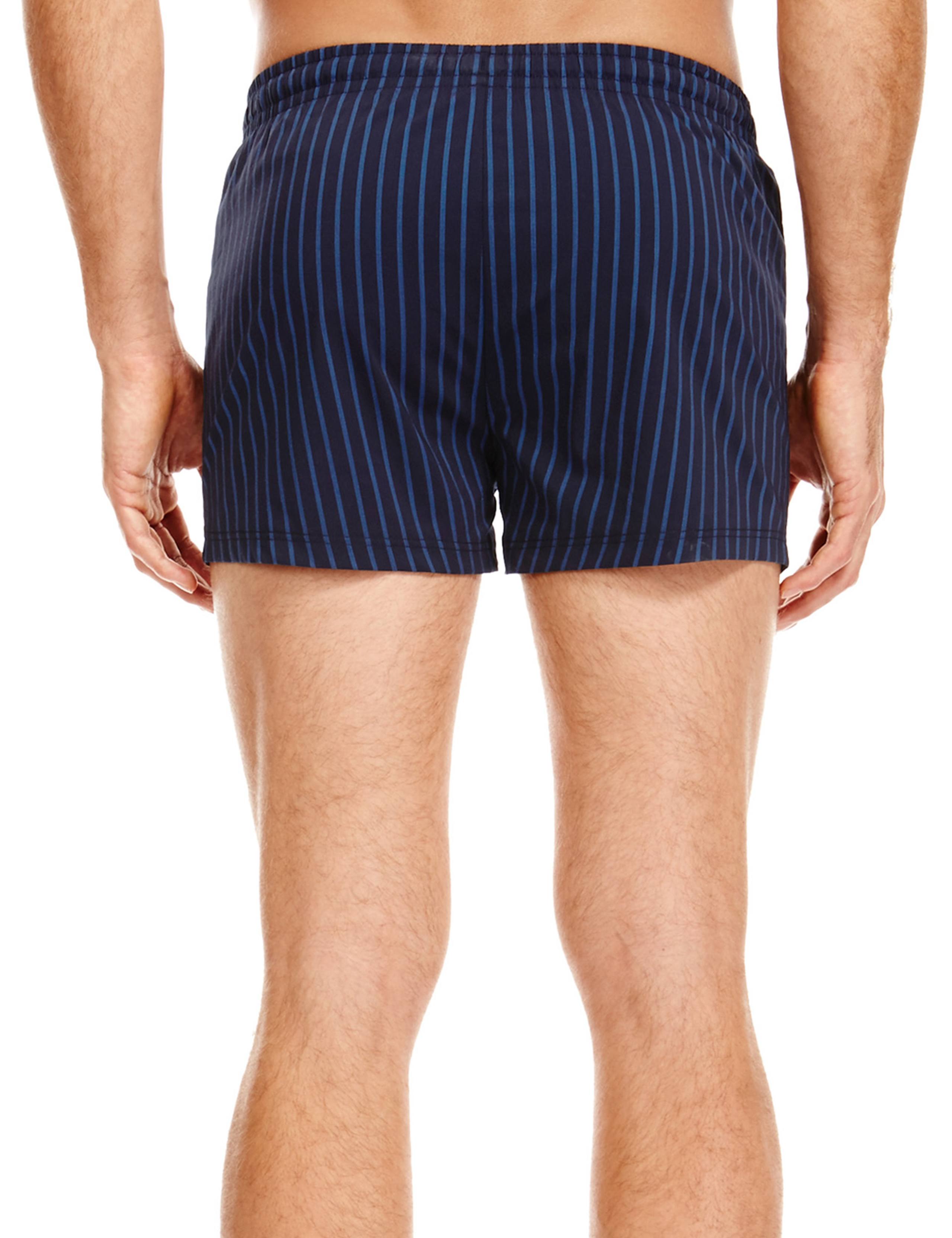 Quick Dry Pinstriped Swim Shorts 3 of 3