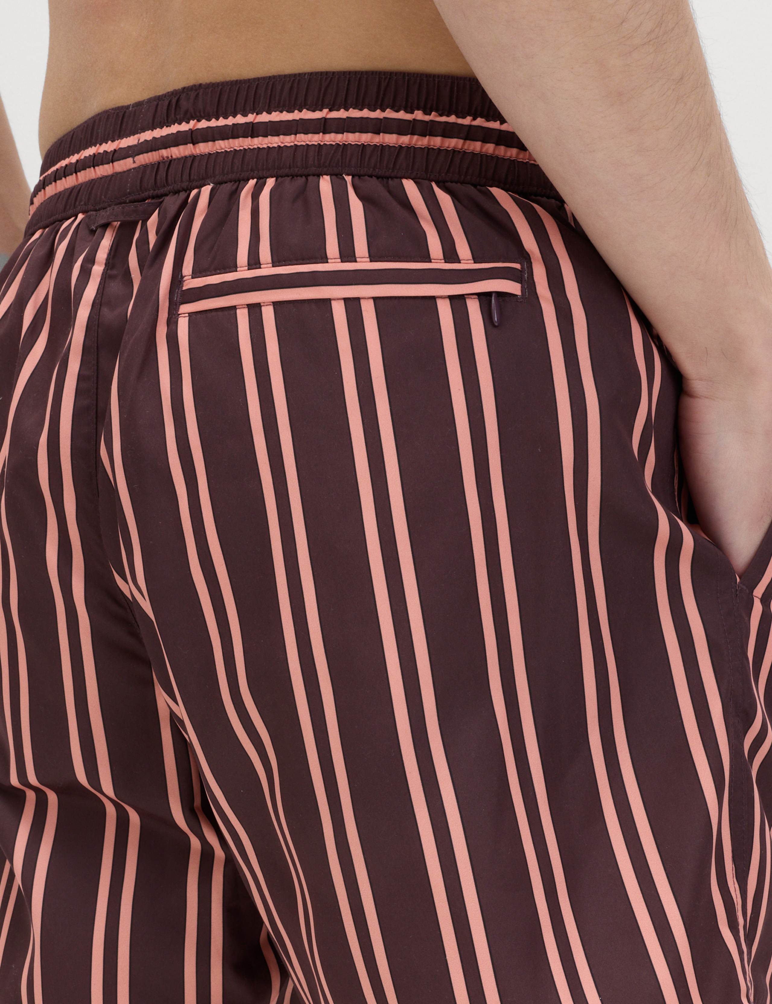 Quick Dry Striped Swim Shorts 4 of 6
