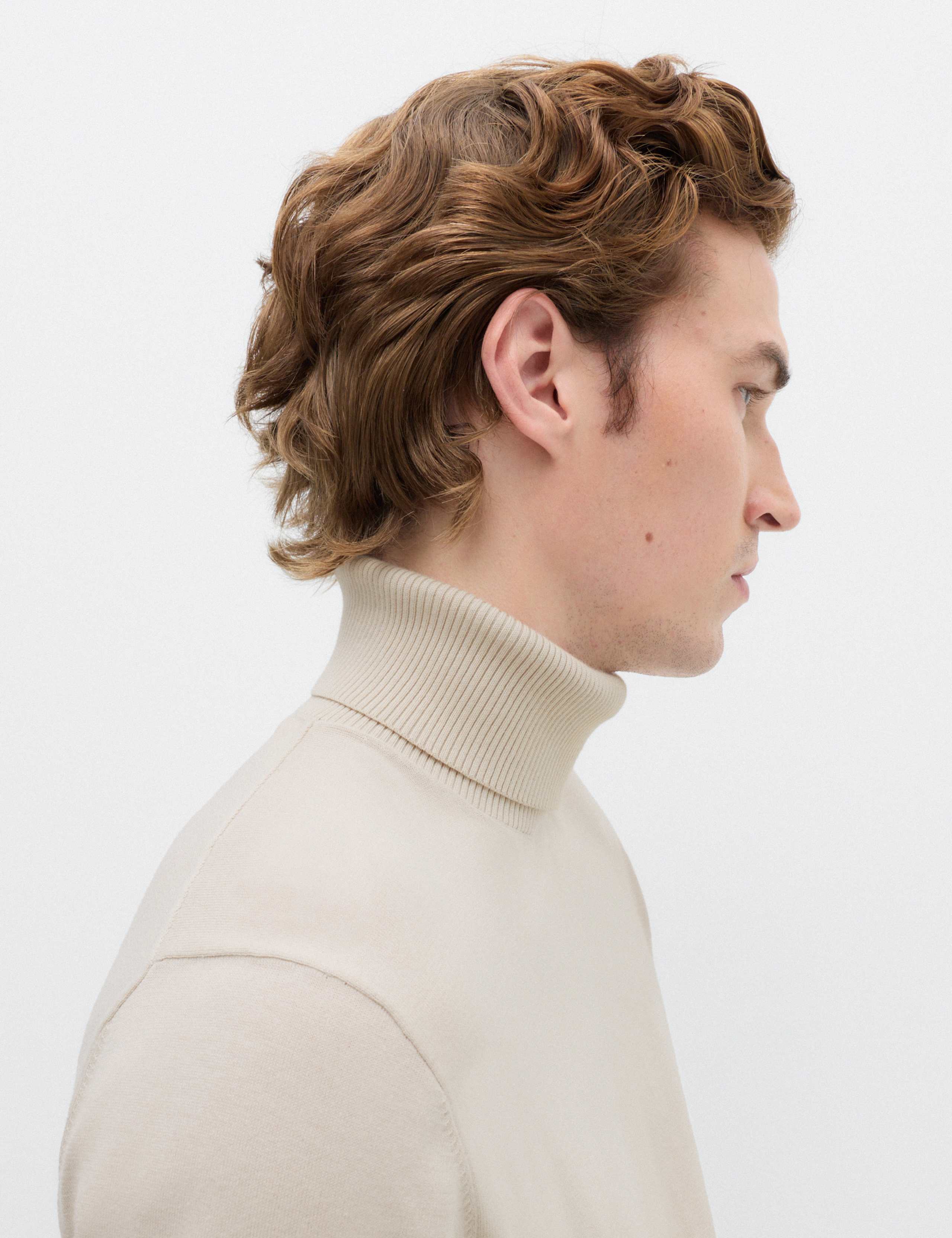 Pure Cotton Roll Neck Jumper 3 of 7