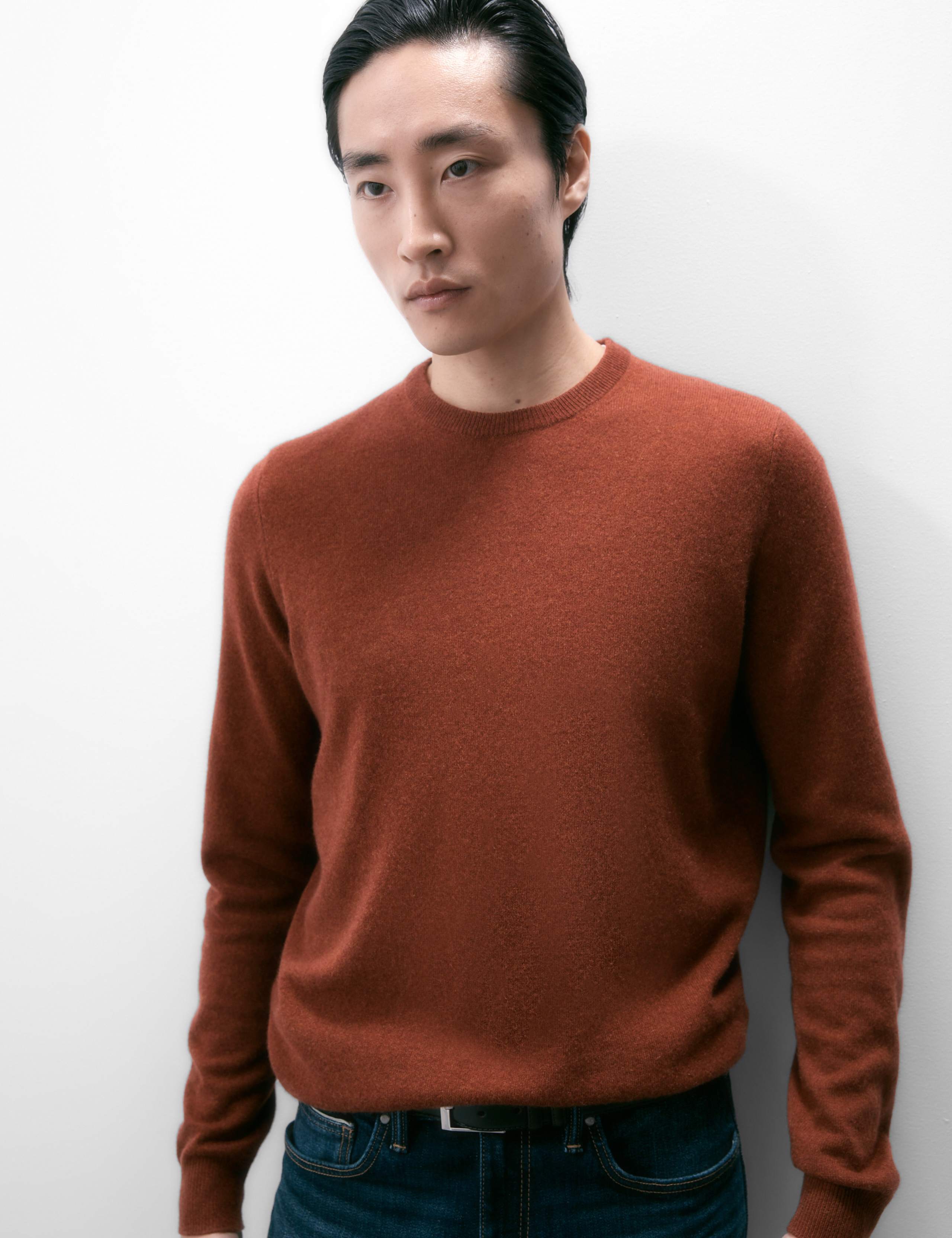 Pure Cashmere Crew Neck Jumper 5 of 5