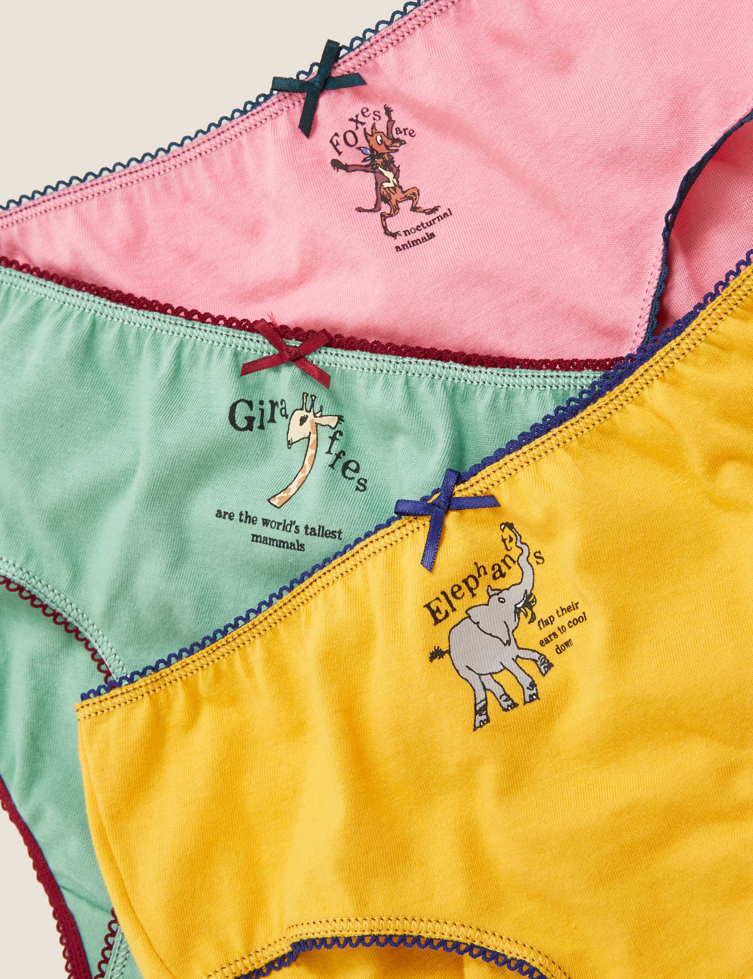 5pk Pure Cotton Roald Dahl™ & NHM™ Knickers (2-10 Yrs) 2 of 2