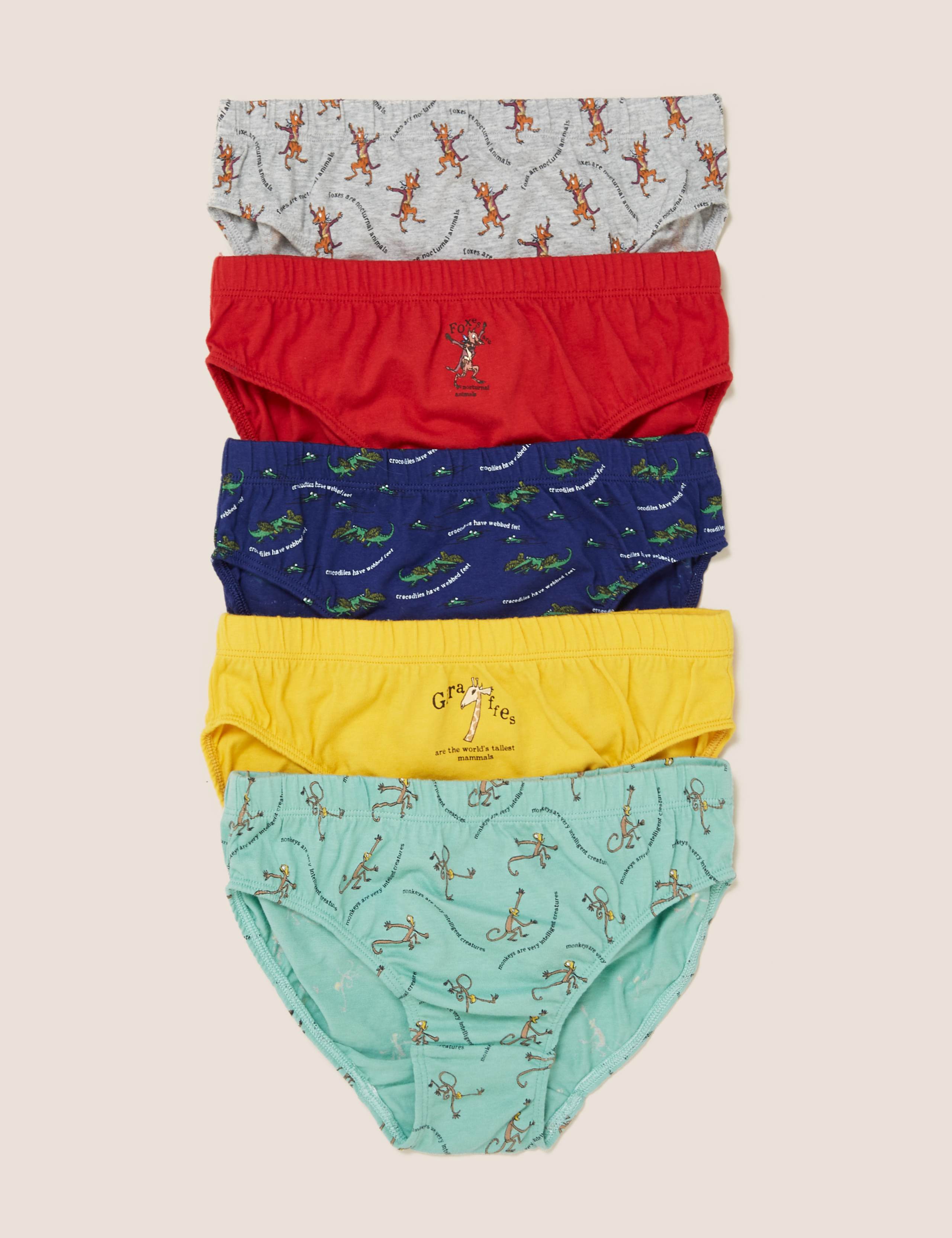5pk Pure Cotton Roald Dahl™ & NHM™ Briefs (2-10 Yrs) 1 of 2