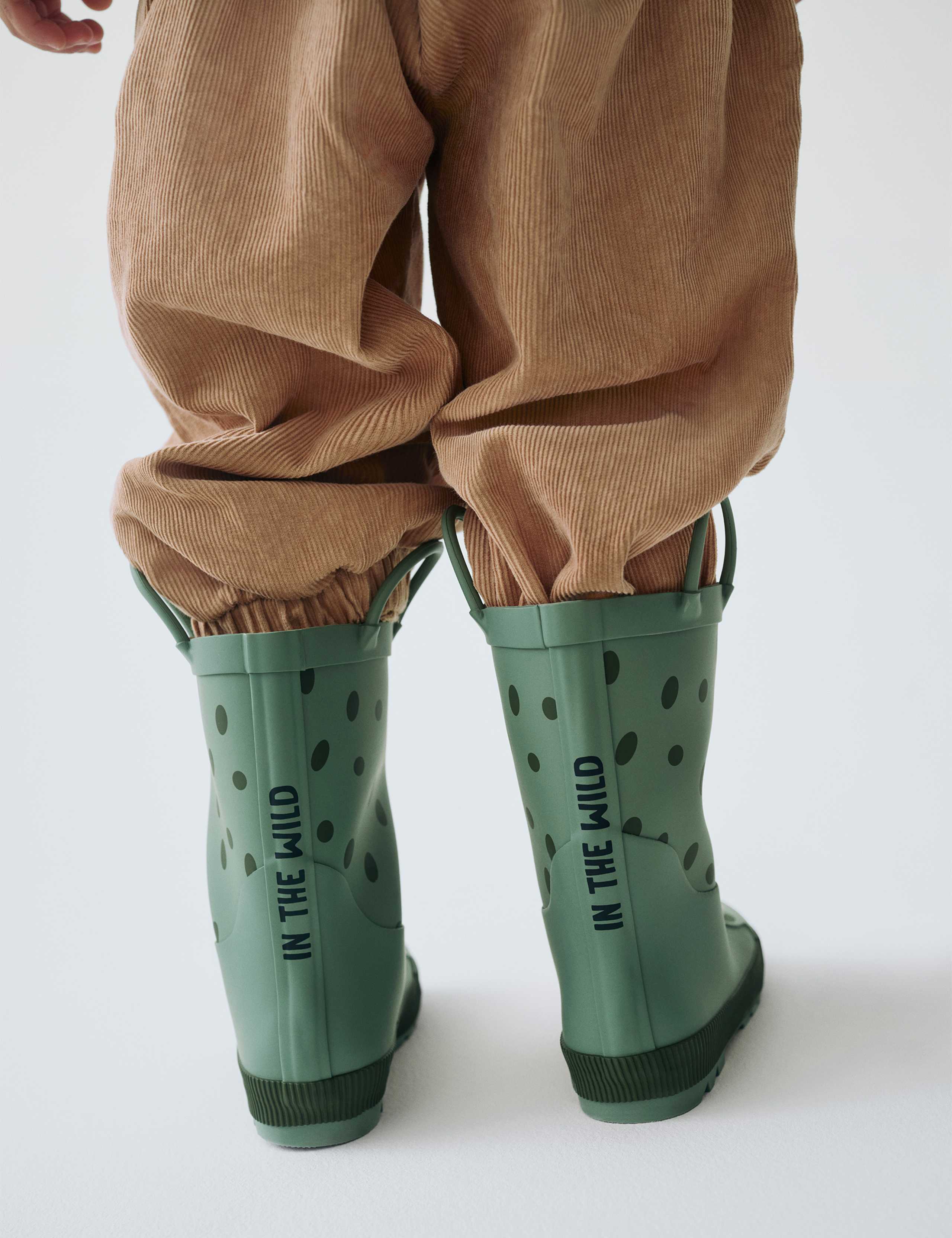 Frog Wellies (4 Small - 2 Large) 5 of 5