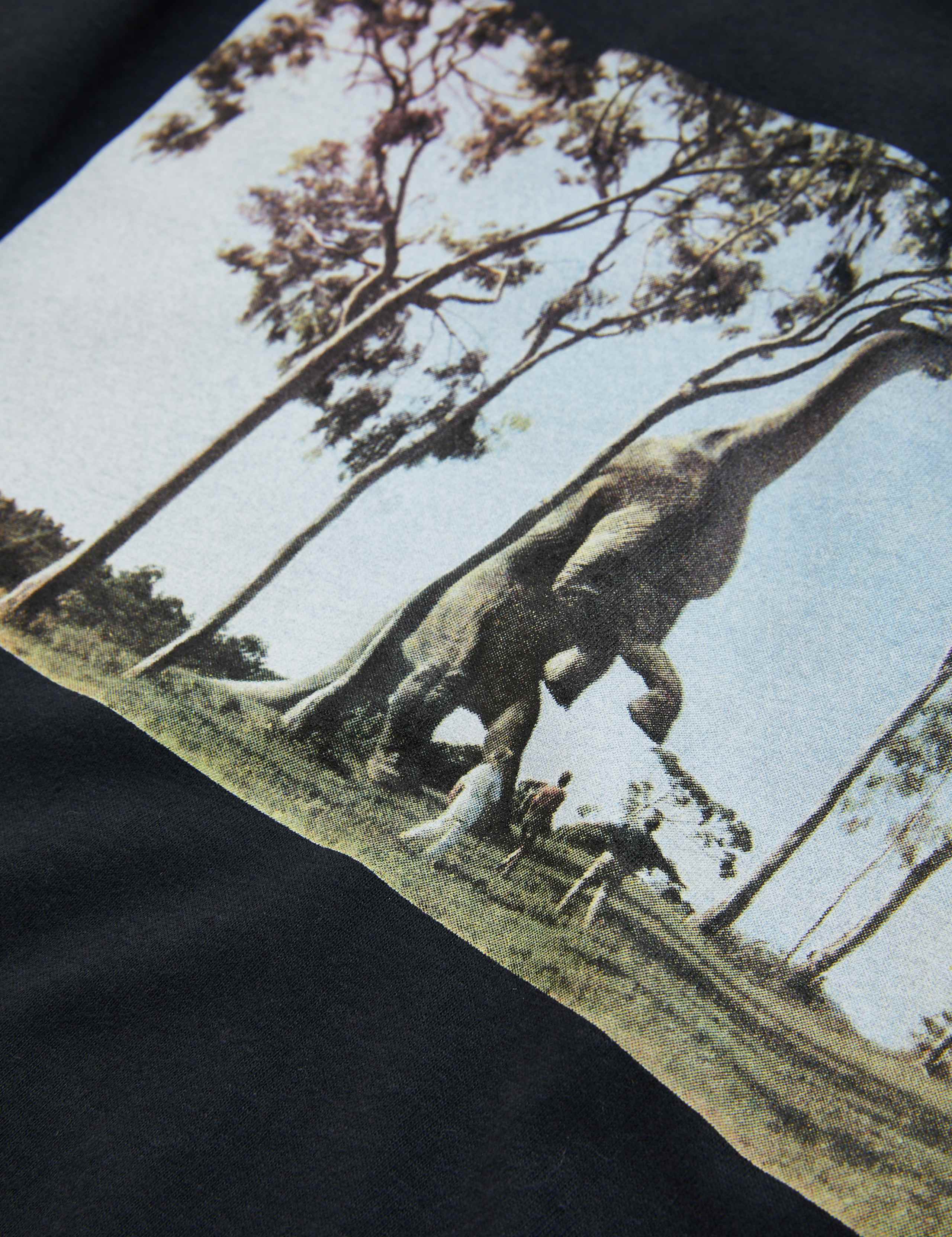 Pure Cotton Jurassic Park™ Top (6-14 Yrs) 4 of 4