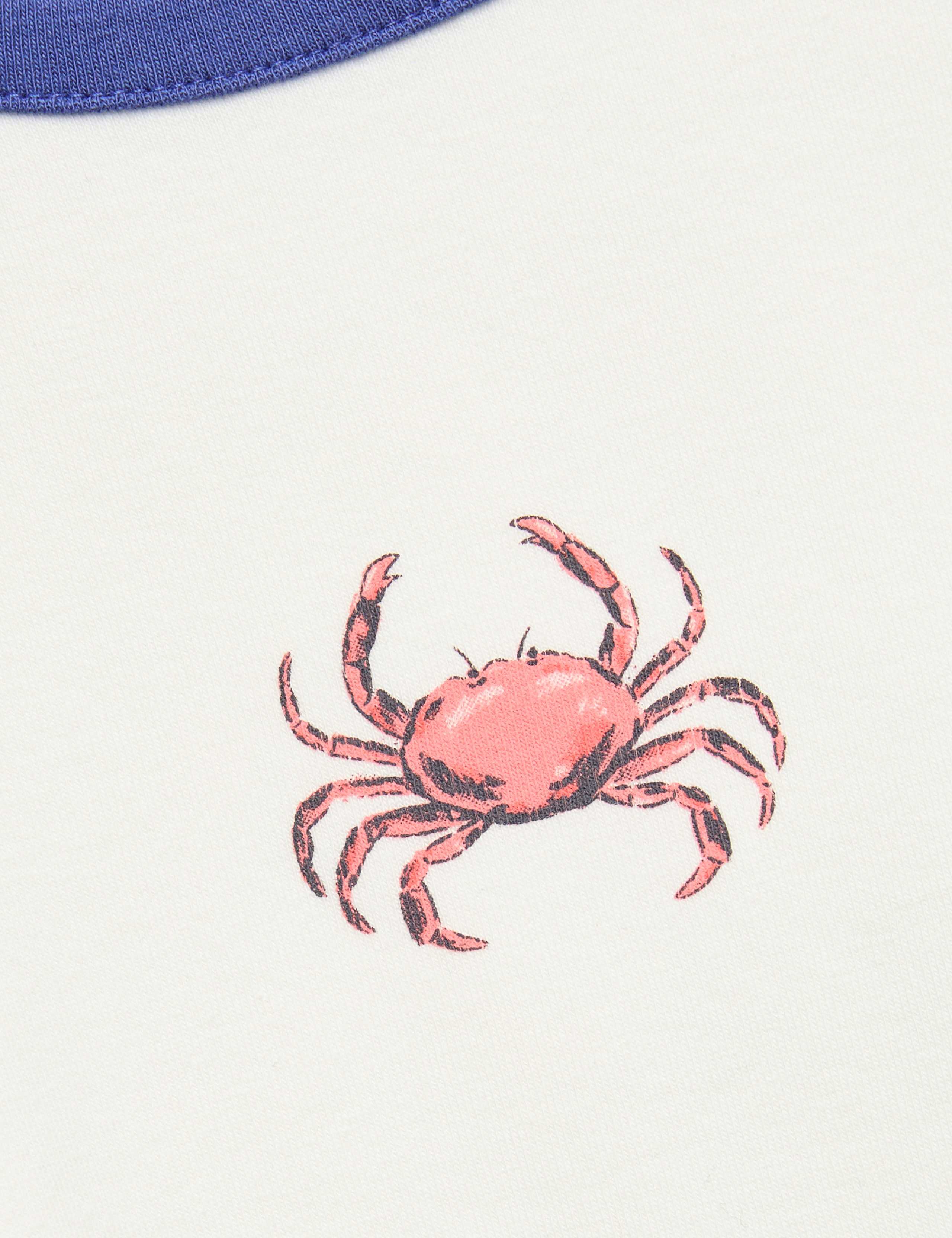Cotton Rich Crab Graphic T-Shirt (6-16 Yrs) 2 of 2