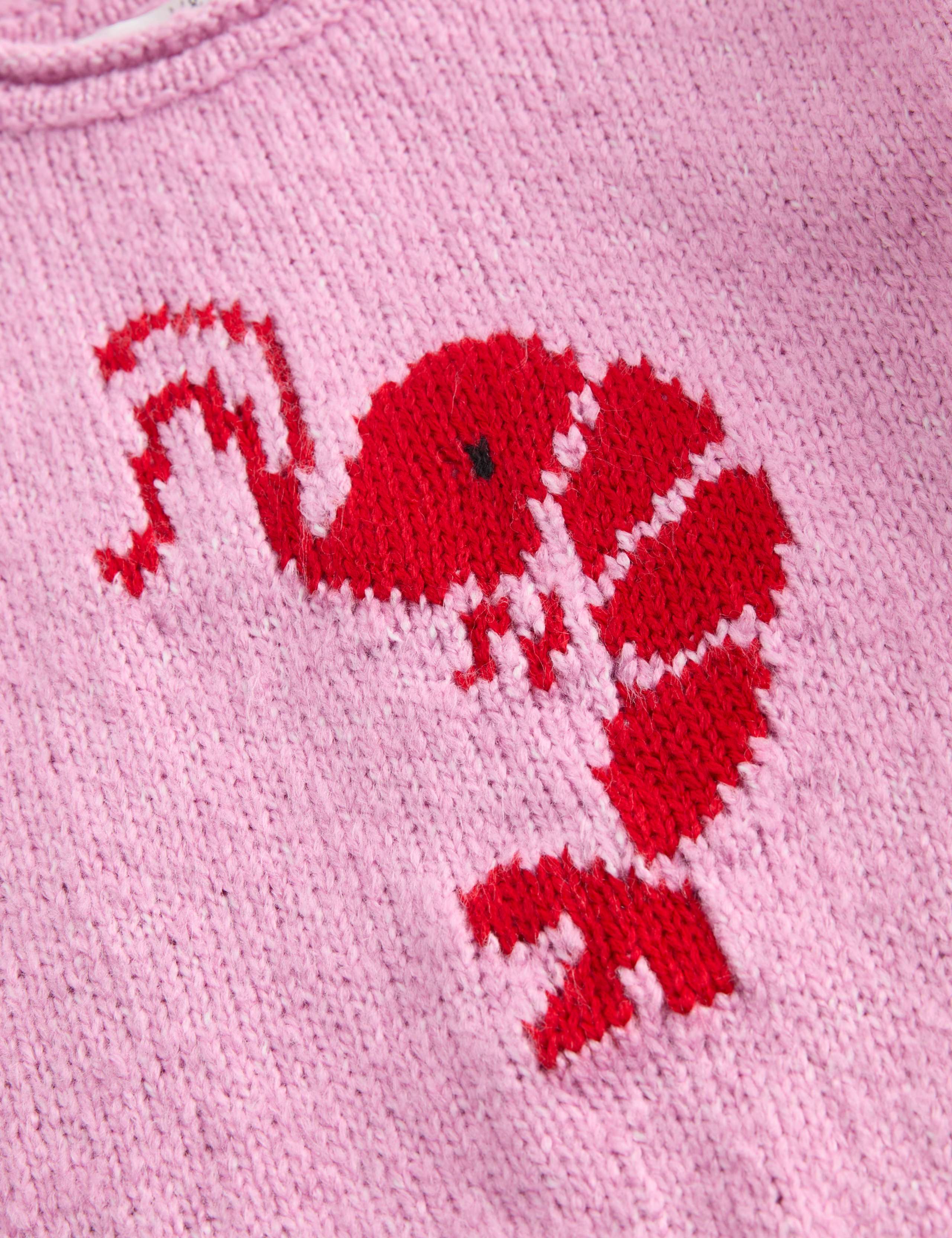 Shrimp Knitted Jumper (2-10 Yrs) 6 of 6